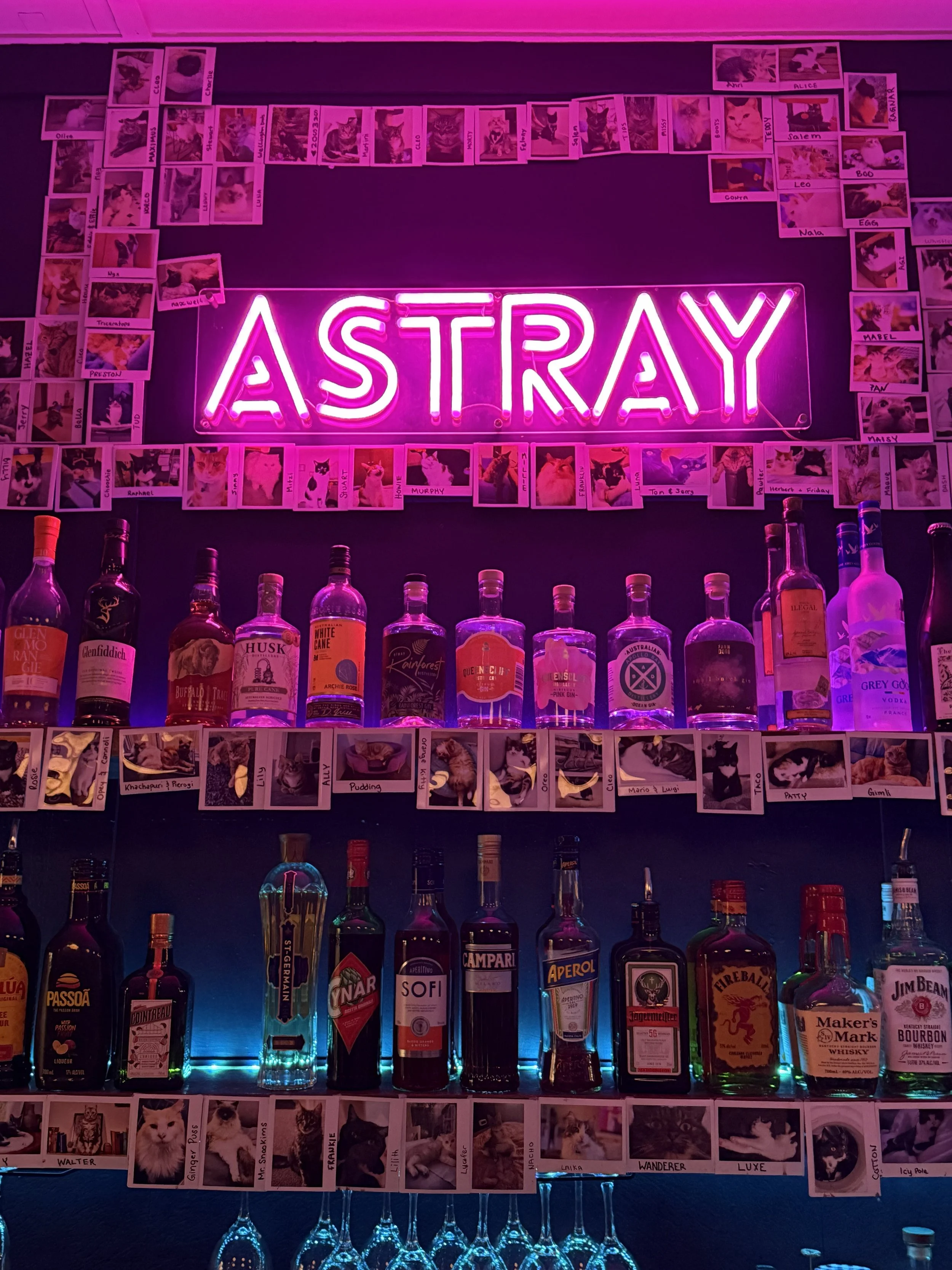 A neon pink sign reading 'ASTRAY' hangs above a shelf with bottles of wine, ornaments, and photos of cats.