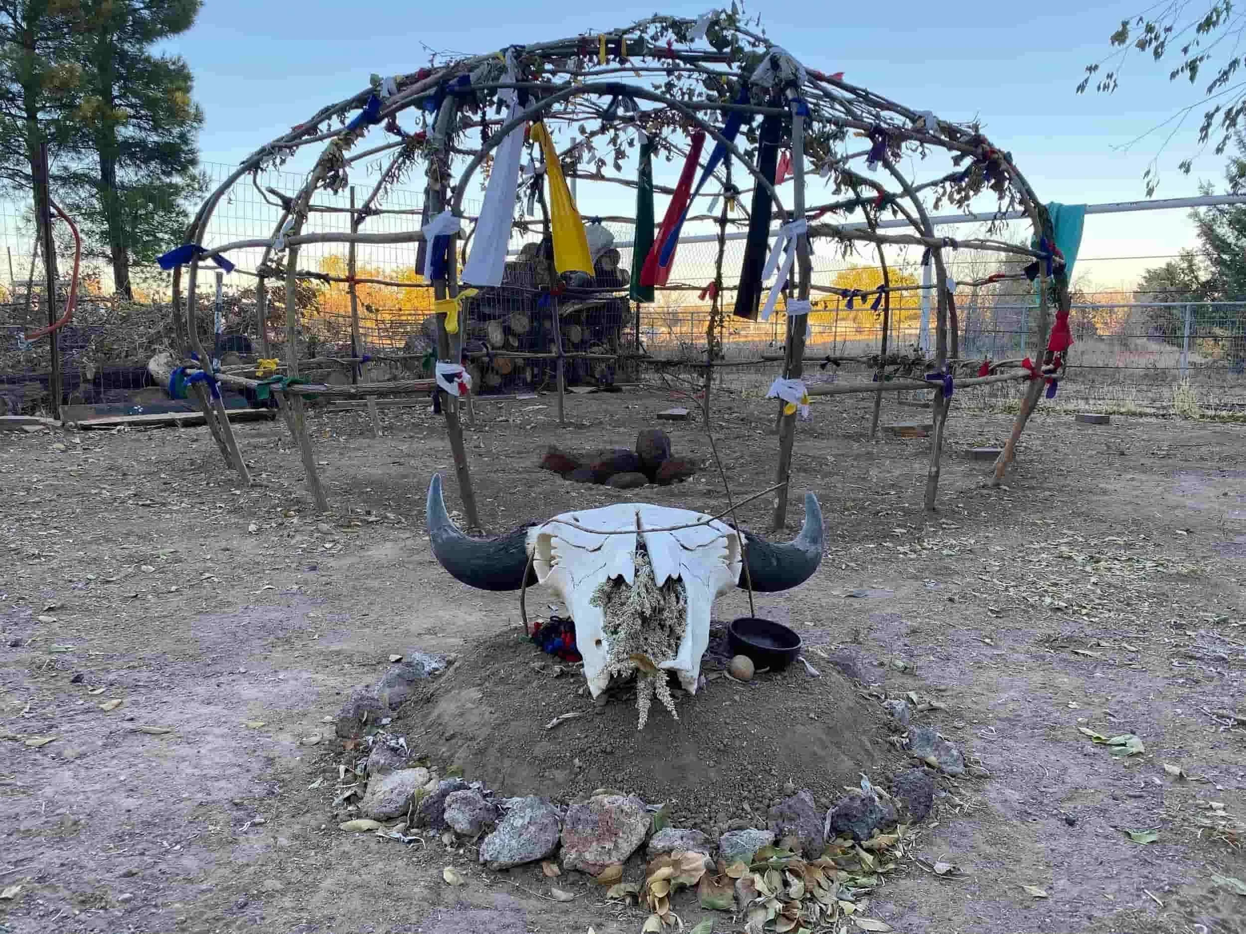 bison skull sitting within a circle of rocks in front of a native american sweat lodge structure