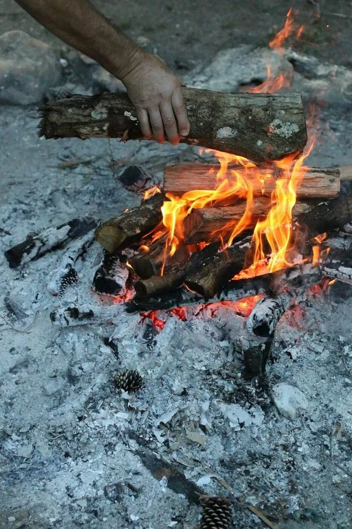 Adding a log to the fire