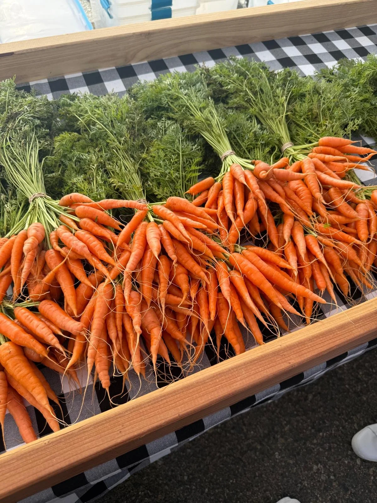 Fresh bunches of carrots with green tops on a wooden display at a market.