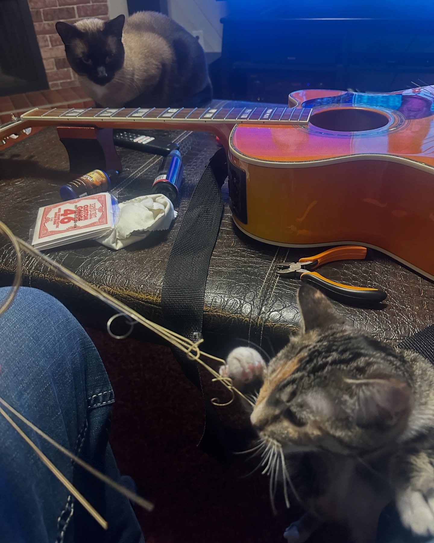 Tried to restring my guitars on the coffee table today… forgot I live with two furry string enthusiasts who think everything is a toy.
Pretty sure they think they’re guitar techs now. ๐
#guitarsetup #catso๏ฌnstagram