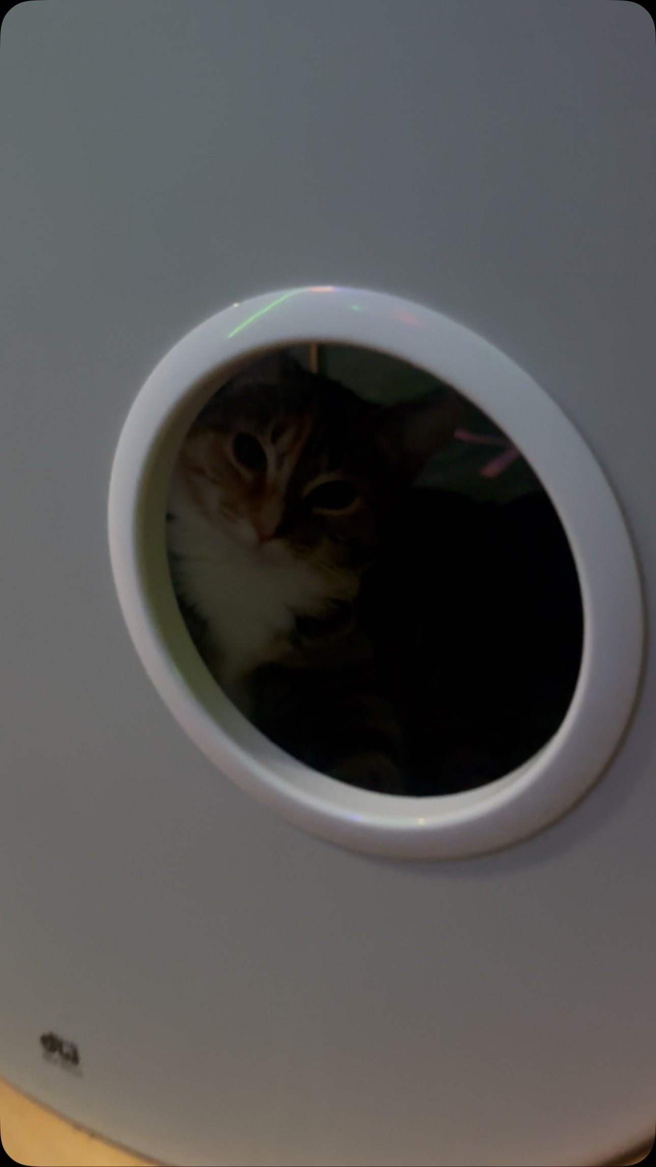 Wait for it…
#catsofinstagram #cats_of_world #dwdrums