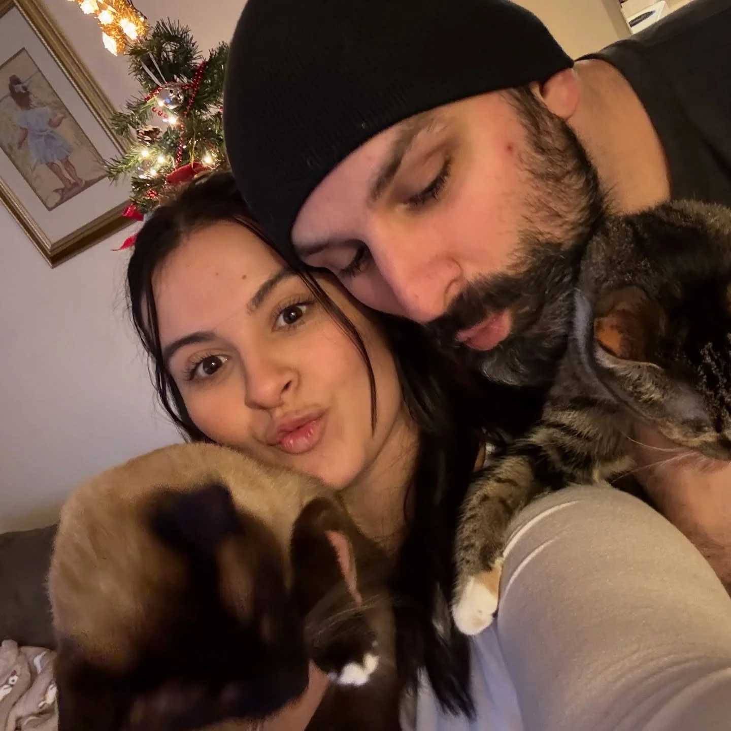 Here&rsquo;s our attempt at a cute Christmas photo&hellip; the cats chose violence instead 🎄😼

#merrychristmas