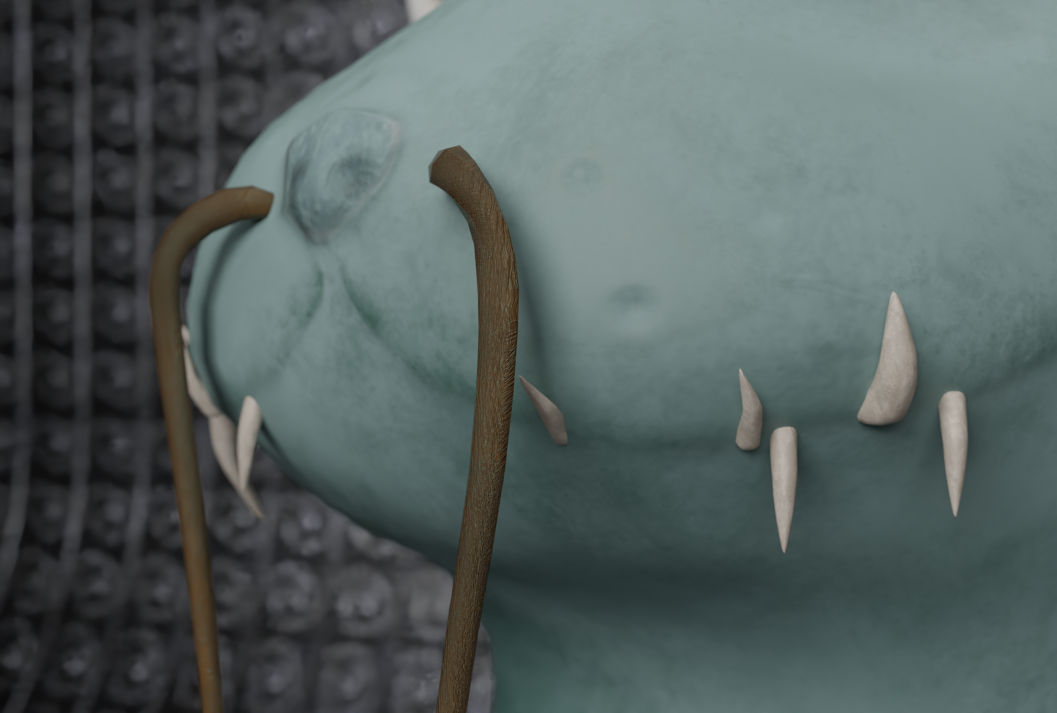 image5.png