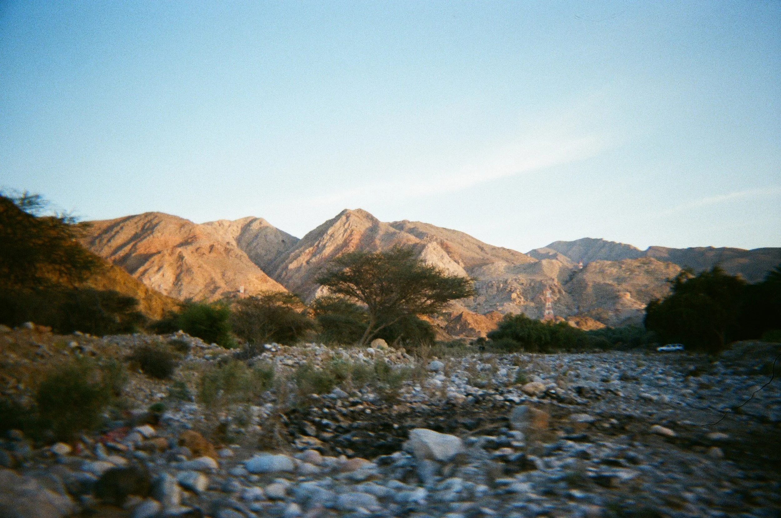 Paesaggio montano con alberi e rocce nel primo piano, monti in lontananza, cielo chiaro.