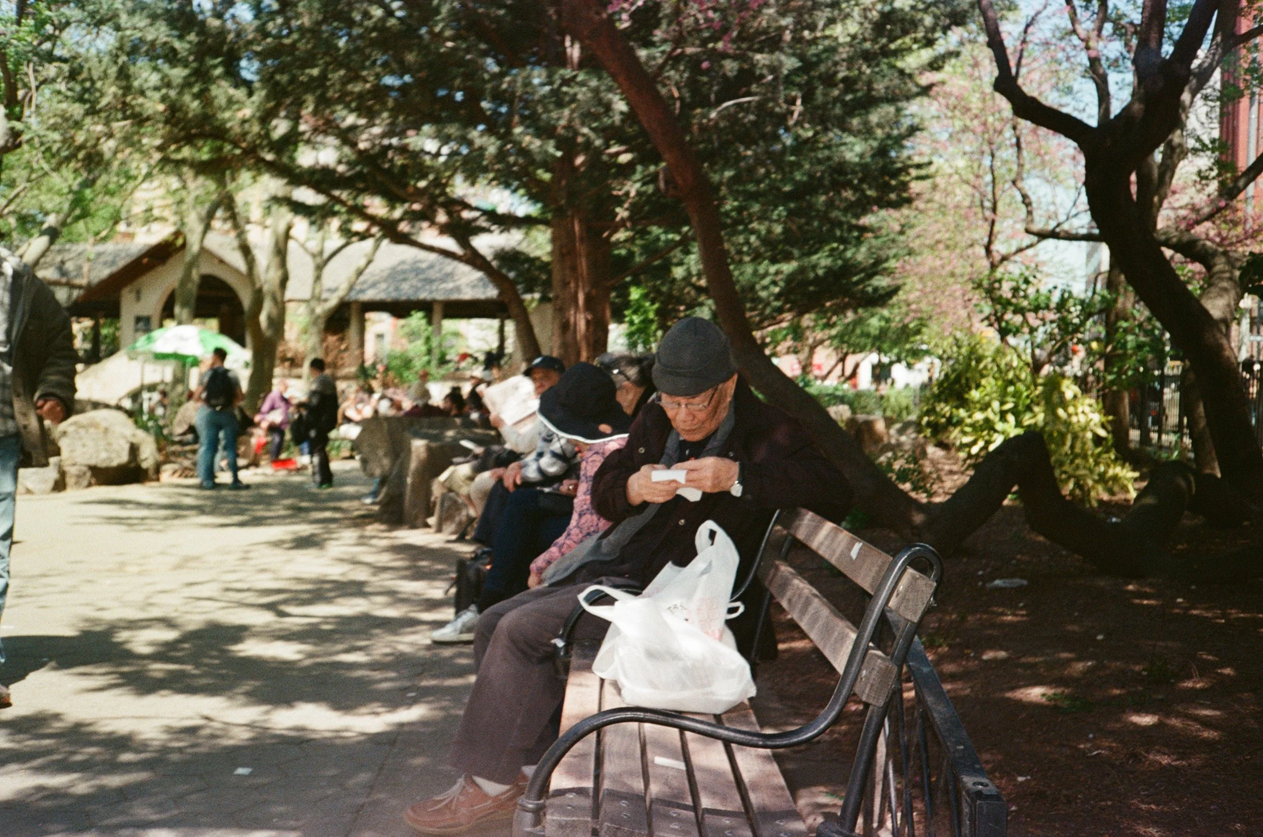 Persone sedute su una panchina in un parco con alberi e ombra di foglie. Uomo anziano indossa un berretto nero e appare concentrato a leggere un biglietto.