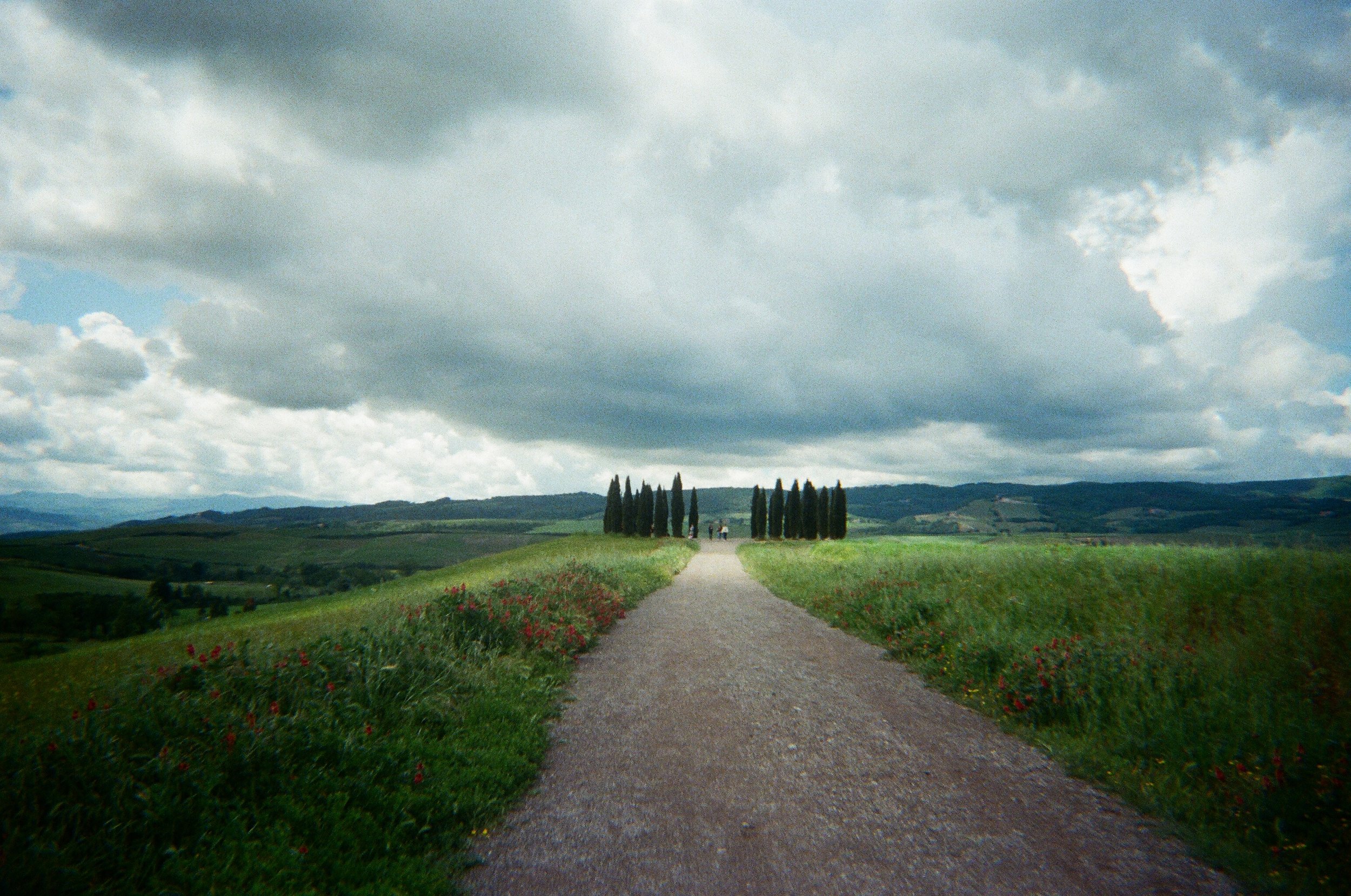 Sentiero di ghiaia in una campagna verde con cipressi in lontananza sotto un cielo nuvoloso.
