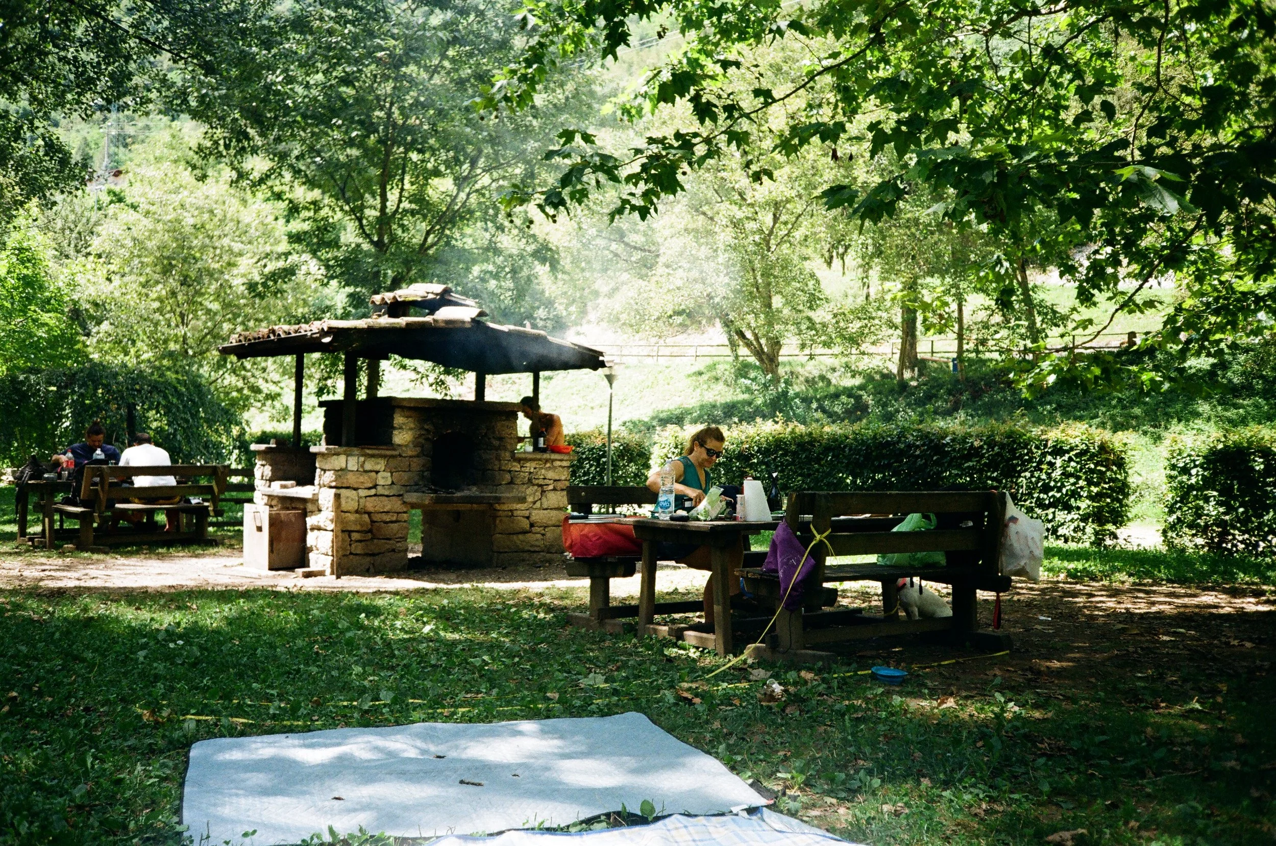 Scene di un'area picnic all'aperto con tavoli e una griglia a carbone, circondata da alberi e vegetazione verde durante il giorno.