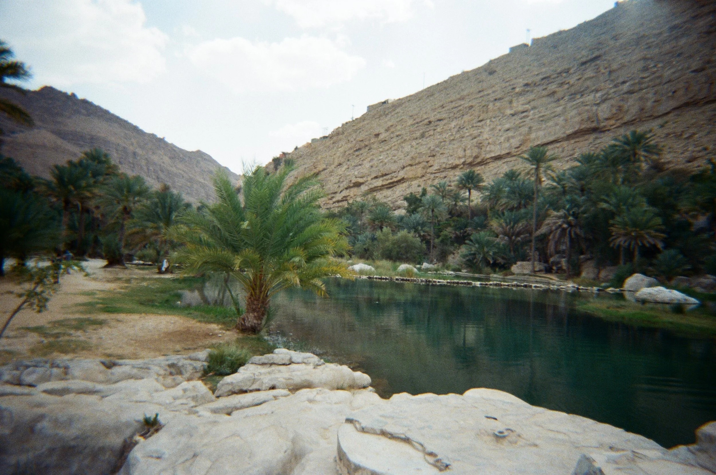 Un'oasi verde con palme lungo un fiume circondato da palmeti e rocce in un ambiente desertico con colline sabbiose e cielo nuvoloso.