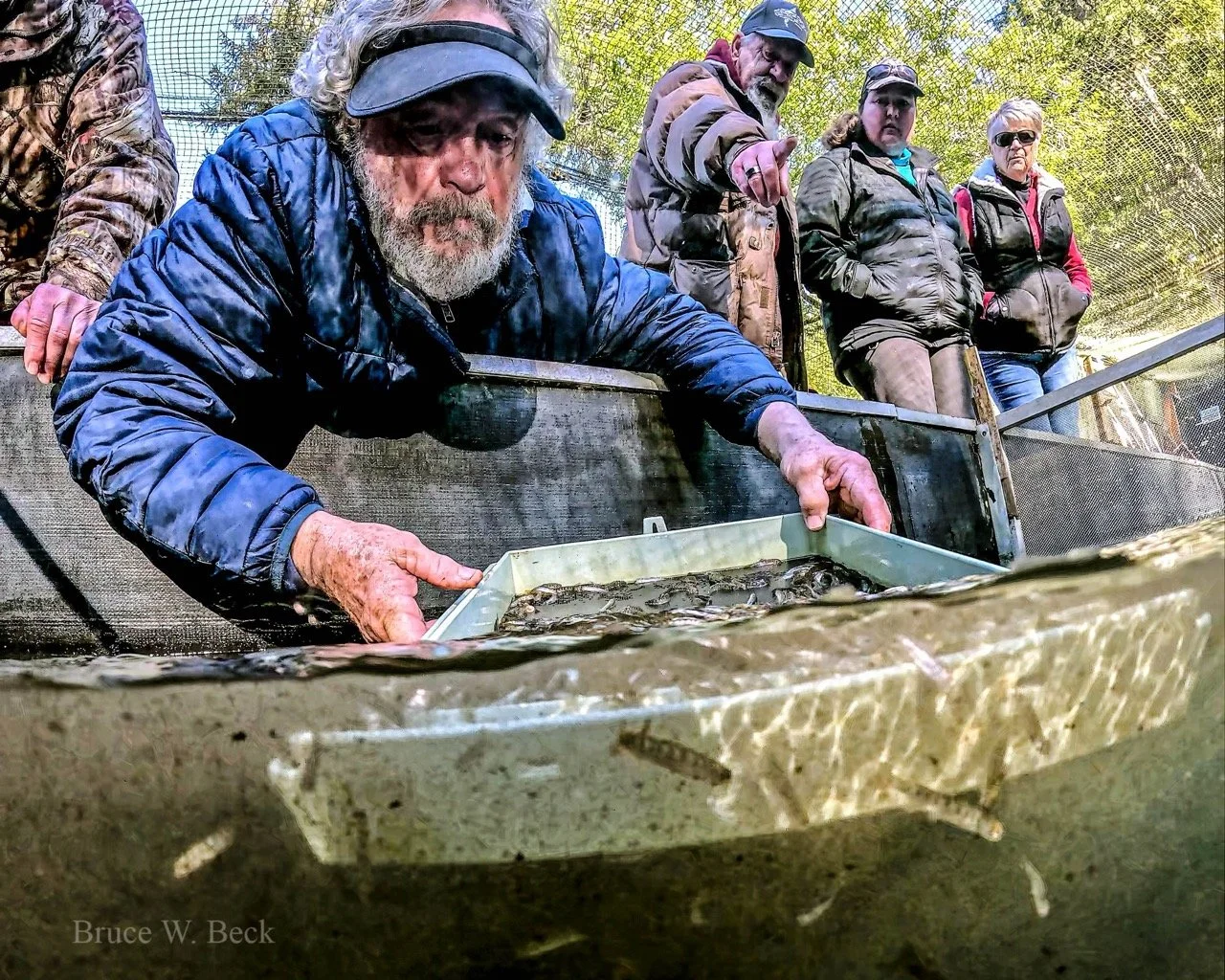 Ponding Day at Indian Creek Hatchery
