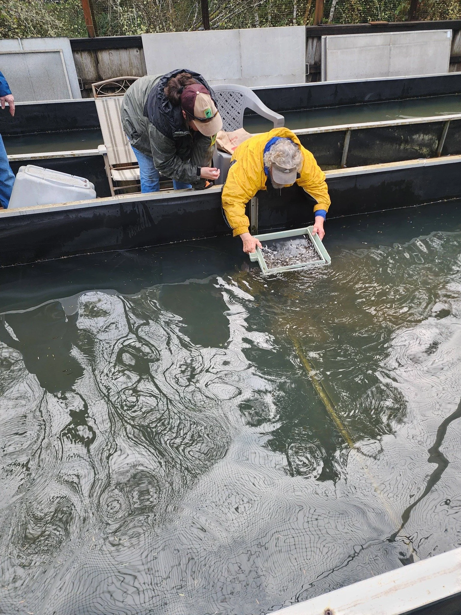 March 2026 General Meeting Highlights: Hatchery Progress, Volunteer Opportunities &amp; Spring Events