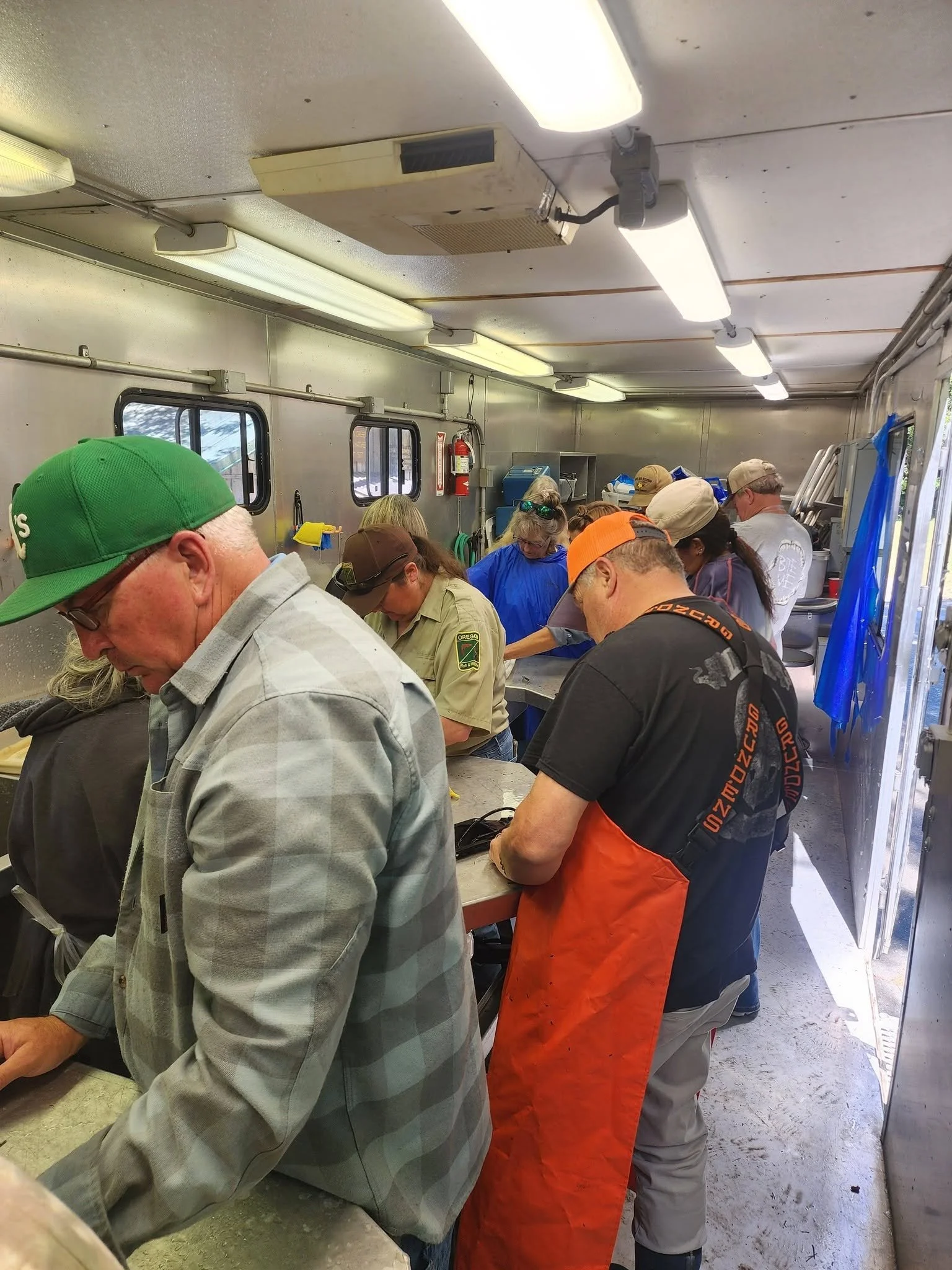 Fin Clipping Success, Hatchery Updates and Derby Preparations