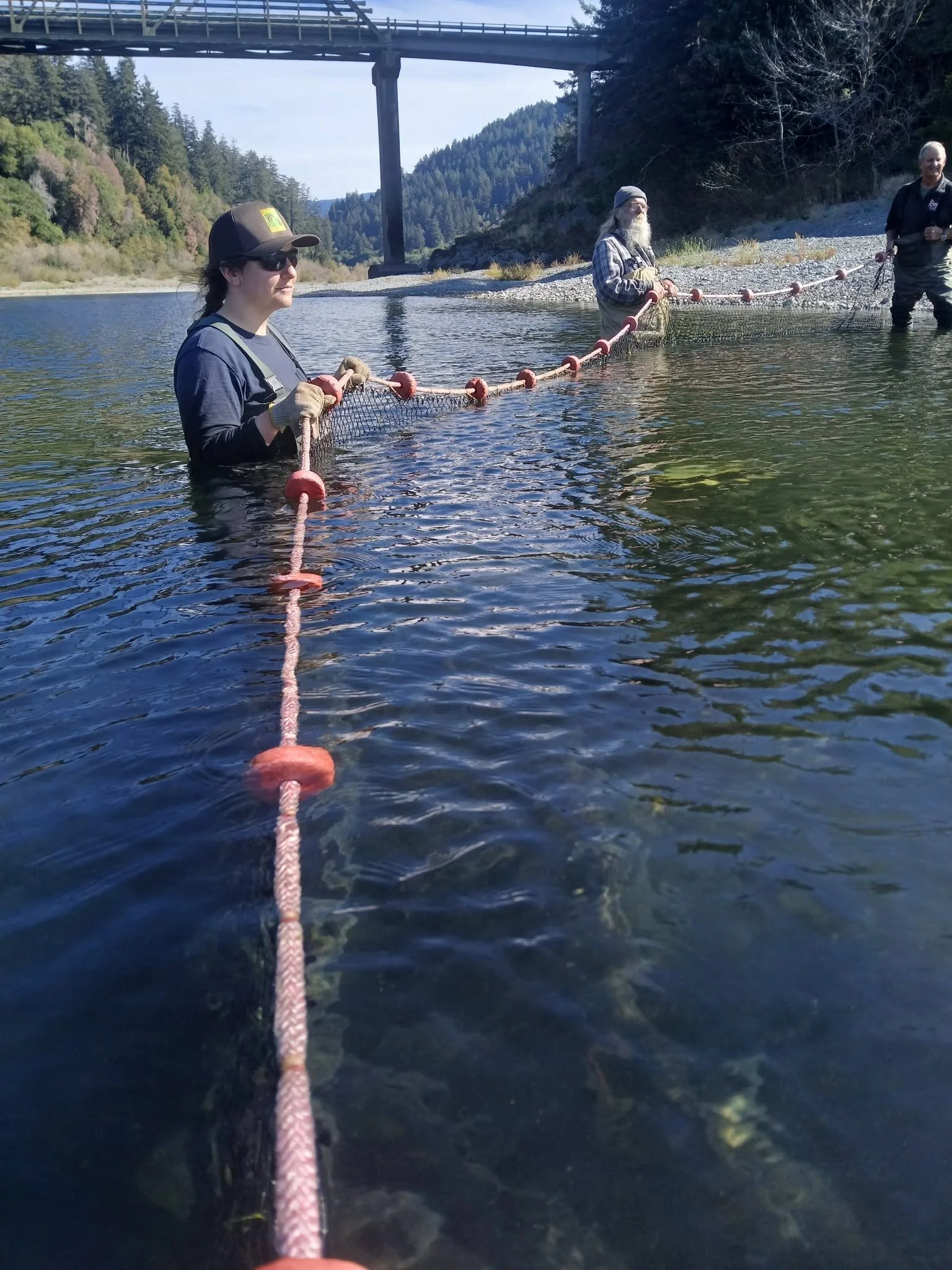 Broodstock Collection, Spawning and Volunteer Appreciation