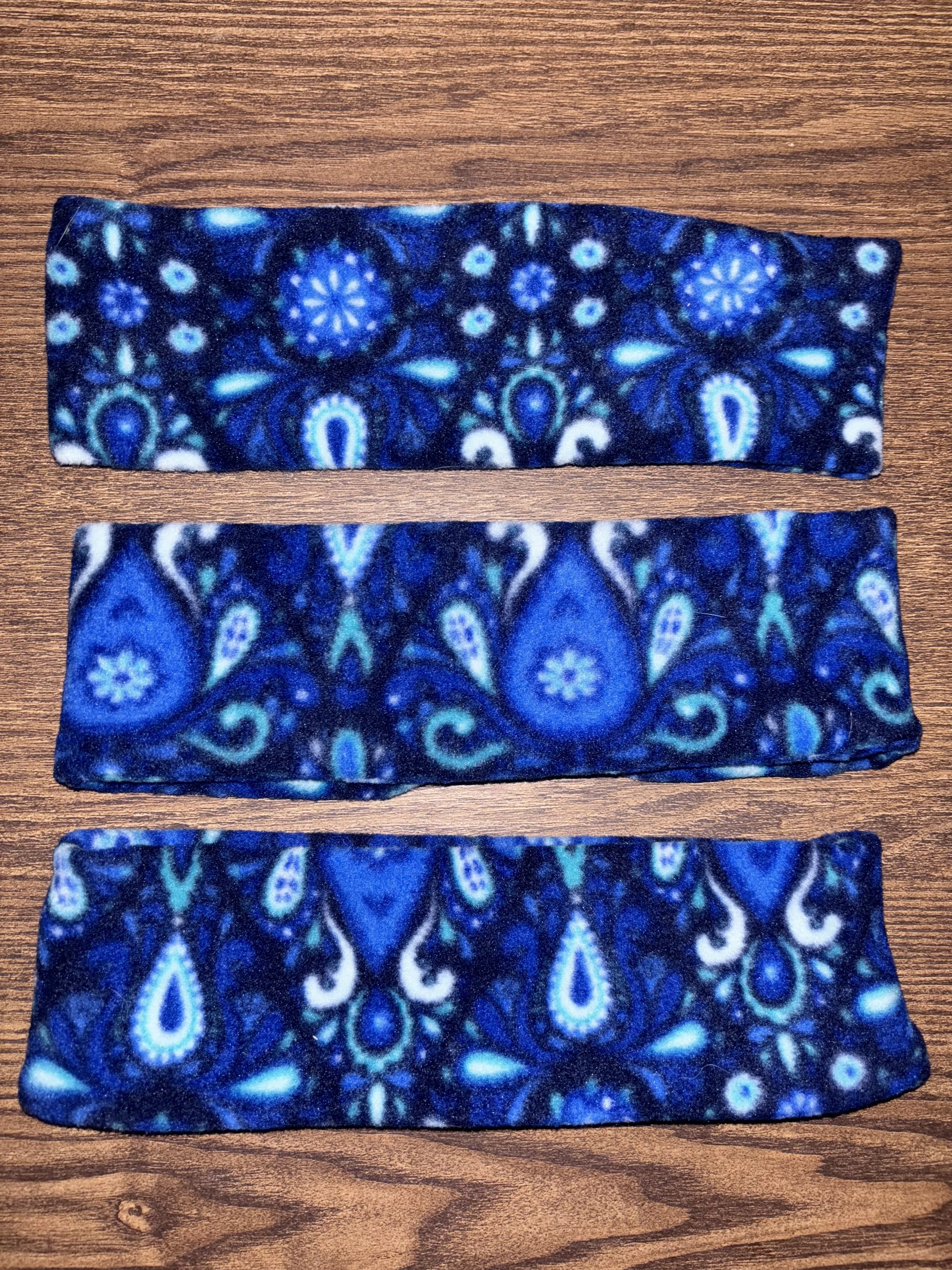 Blue Paisley Band