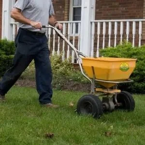 spreading fertilizer with yellow push spreader