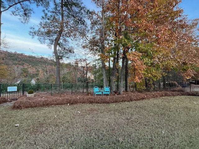 new pine straw in fall