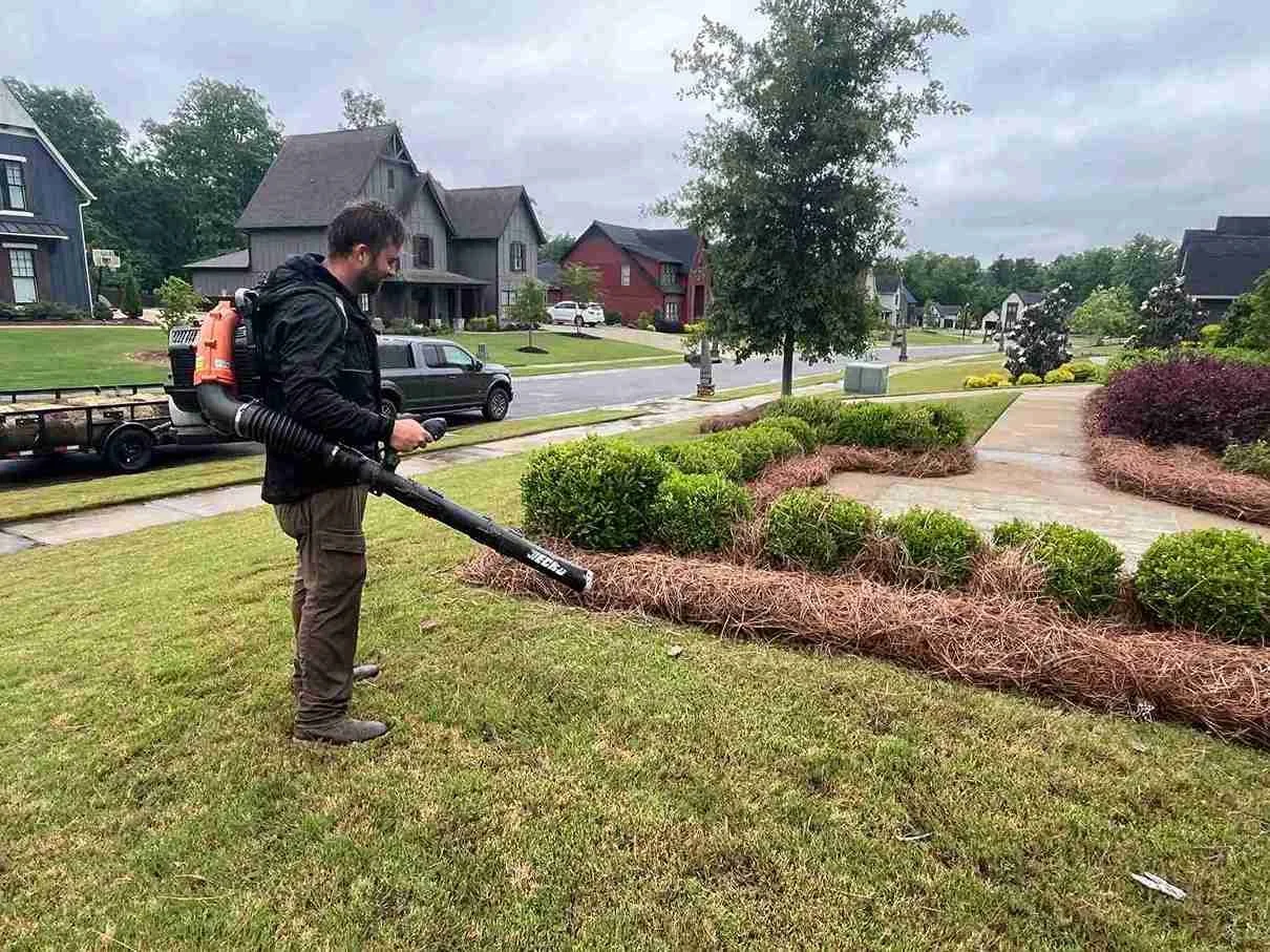 Curling pinestraw with blower