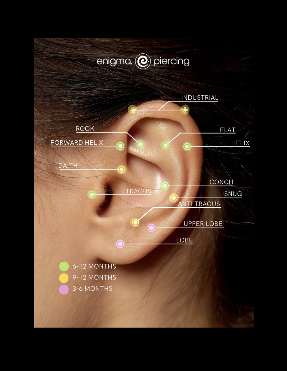 Ear Piercing Healing Timeline Chart – Tragus, Helix, Lobe & More | Enigma Piercing Aftercare
