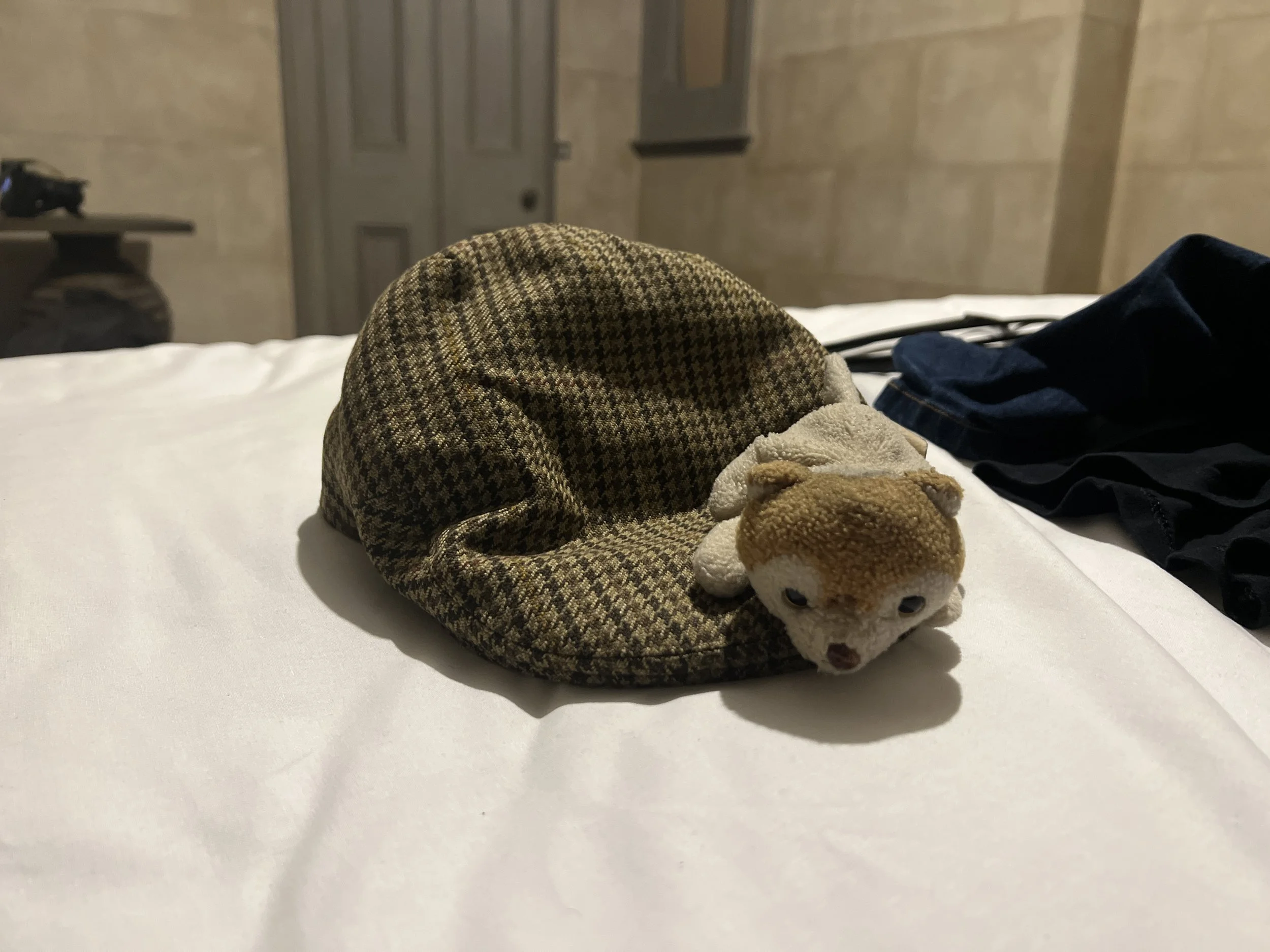 The hat (my dad's hat) and the soft toy my daughter gave me to take with me. In case I got lonely or needed a cuddle.
