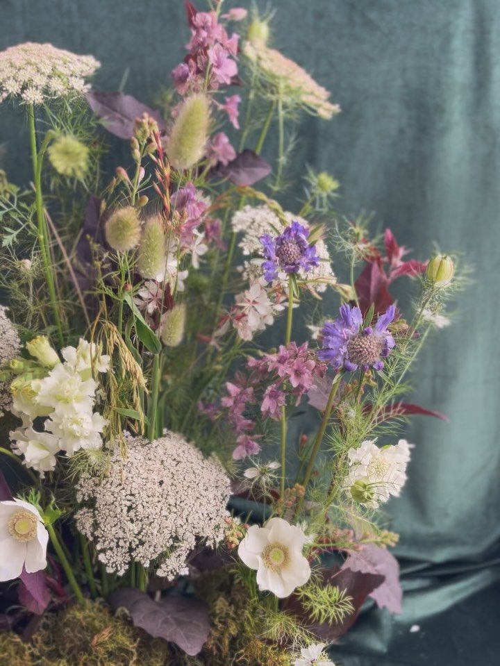 Made a wee meadow 🌾 much of what&rsquo;s in here is self sown (ornamental carrot, larkspur, orach, nigella, bunny tails) and just pops up wherever it fancies.
.
.
.
.
.
.
#meadowflowers #christchurchweddings #christchurchwedding