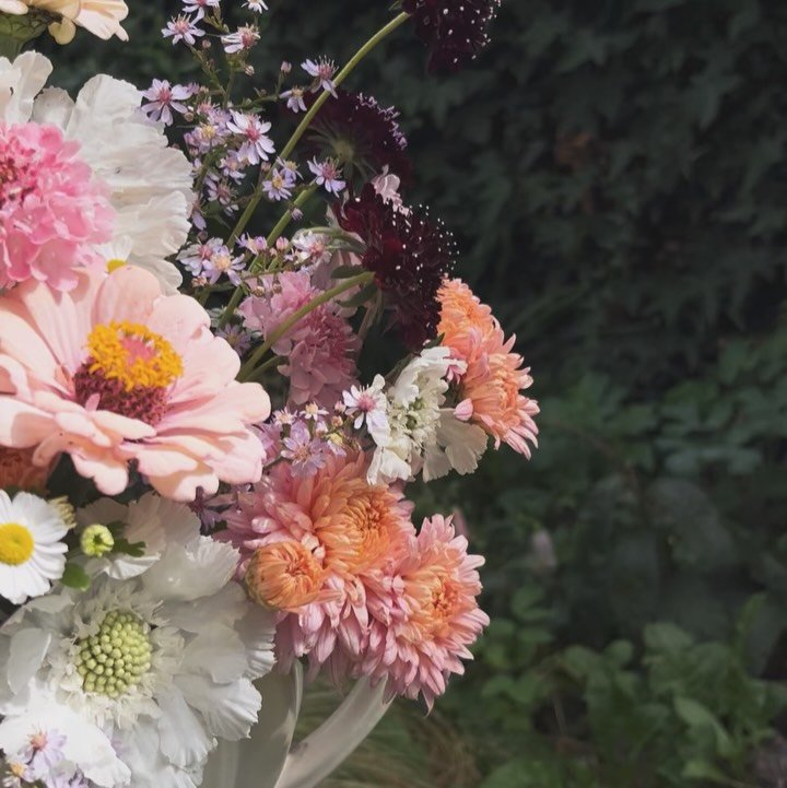 Early autumn in the Night Blooms garden 🍂