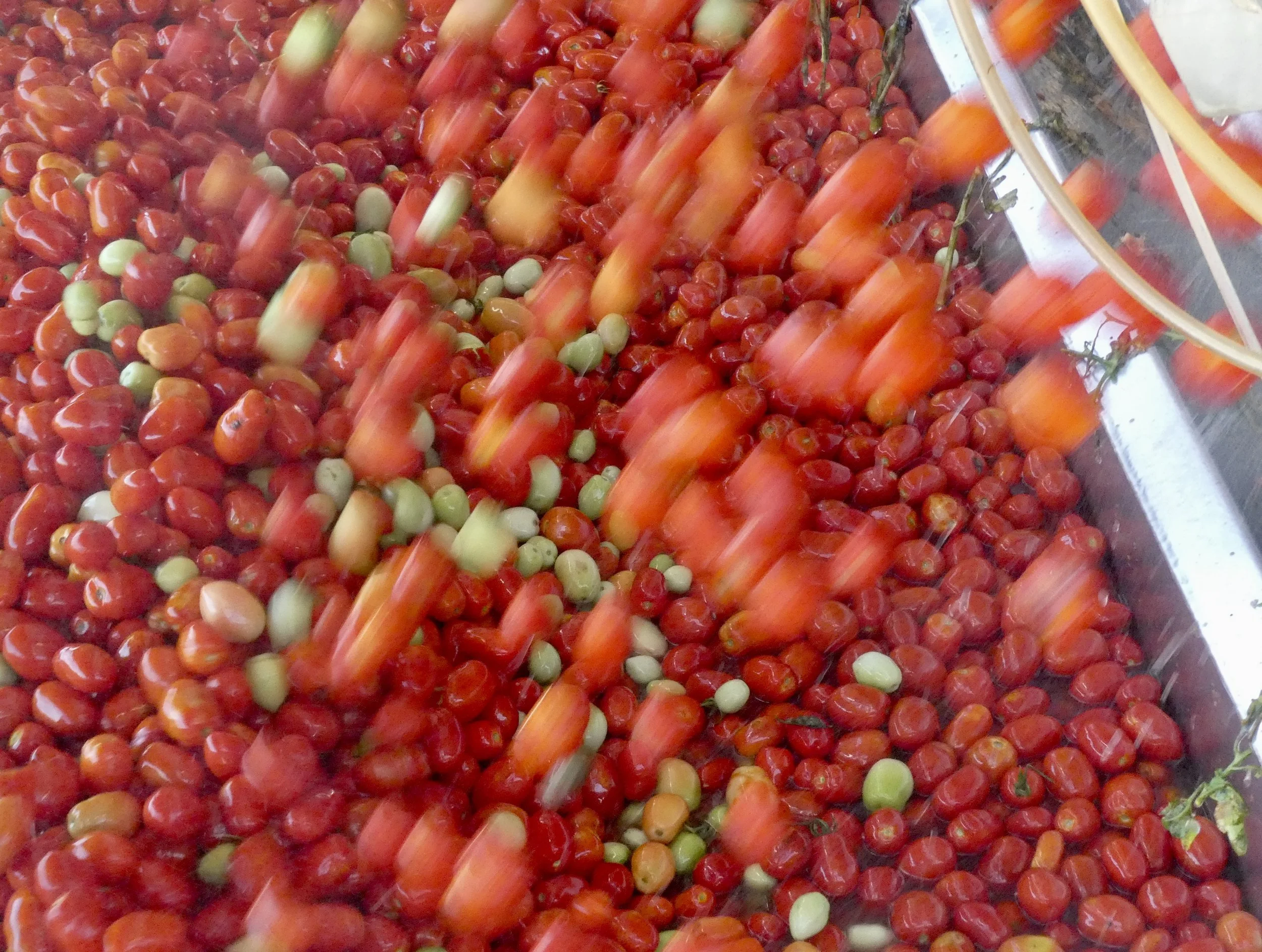 Two: Growing Systems