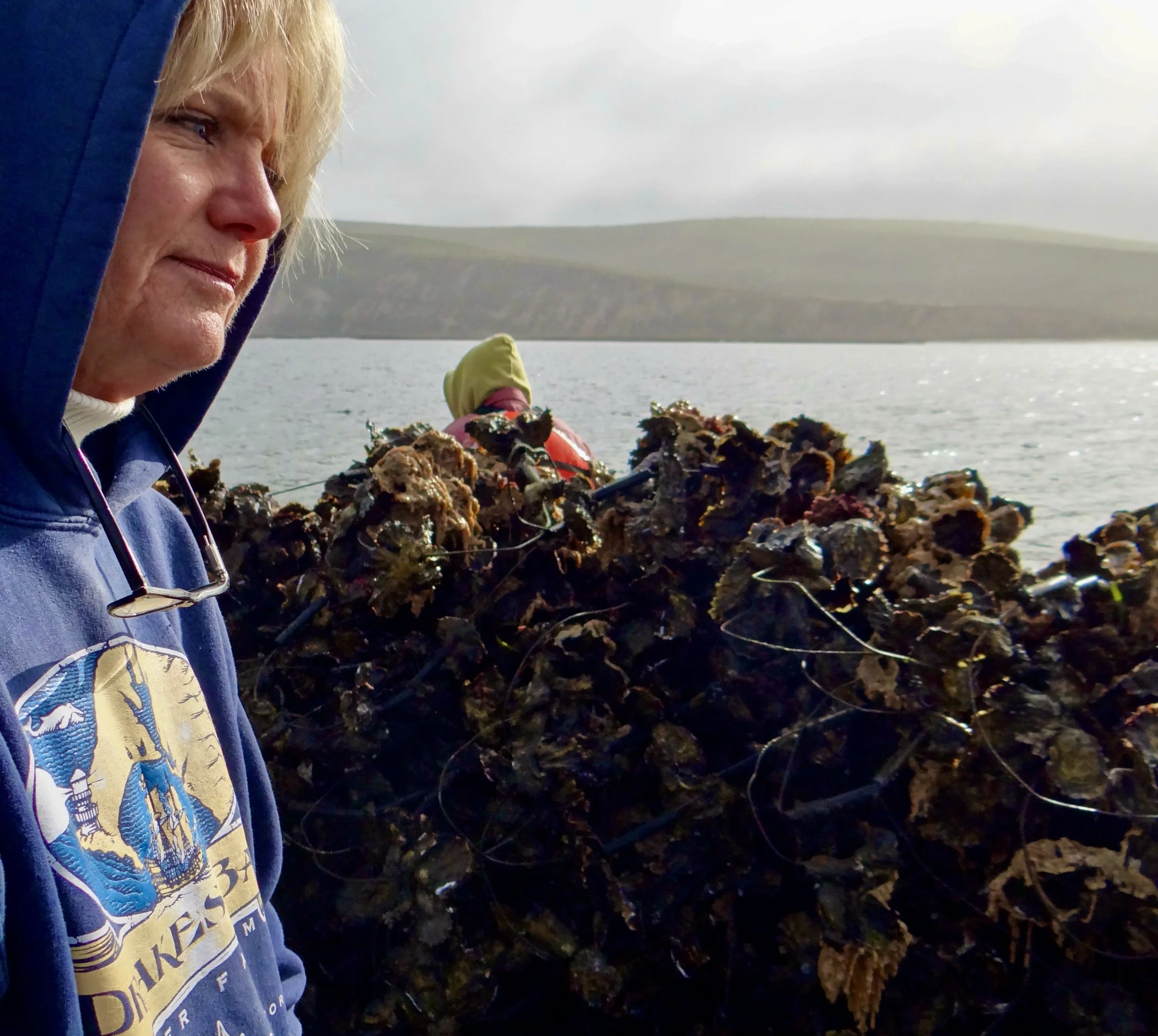 Oysterman3.JPG