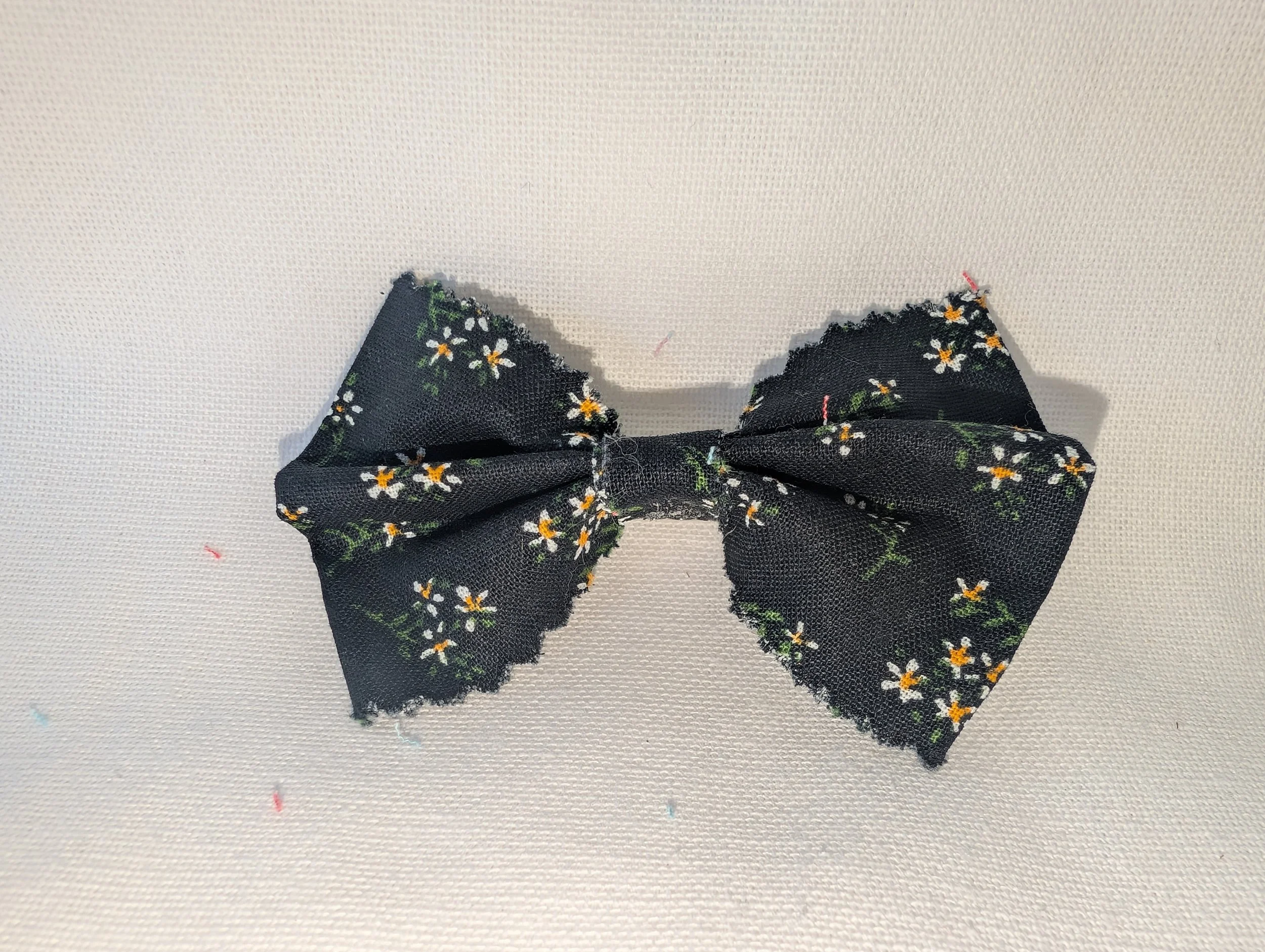 2026-02-10 15.40.15.jpg