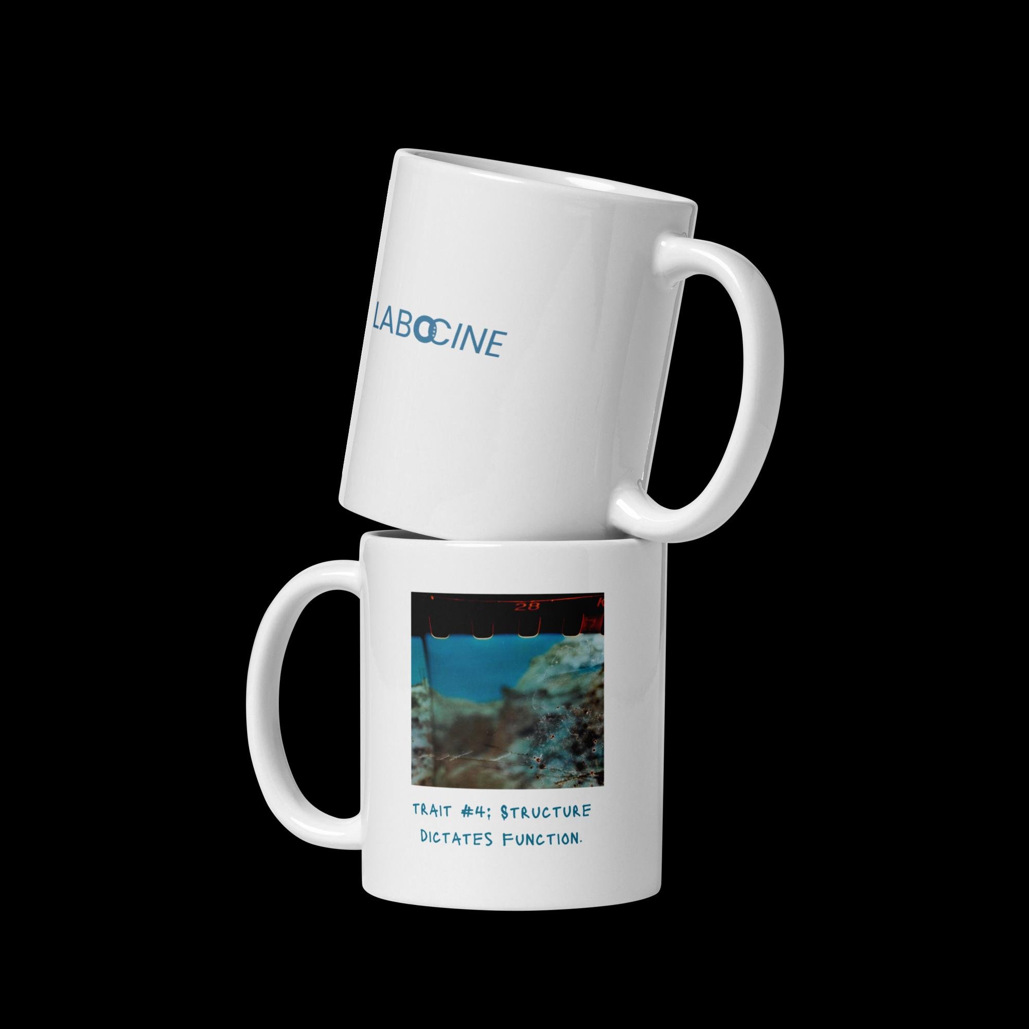 white-glossy-mug-white-11-oz-front-view-67760a7fce9a2.jpg
