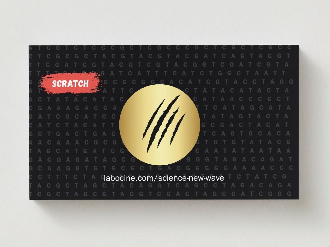 SNW_scratch.jpg