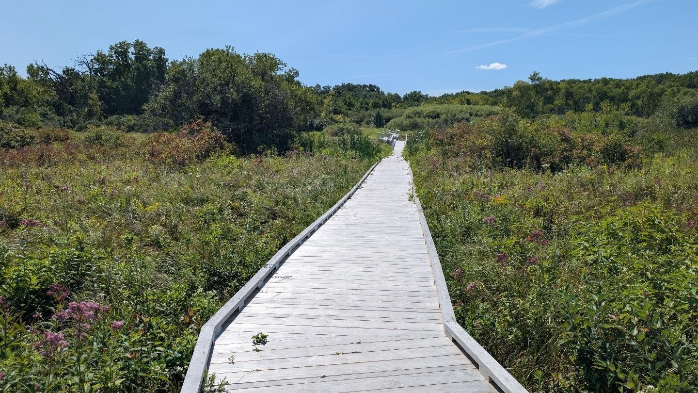 A beautiful day to check out two of our newest community amenities: The Nevin Springs Boardwalk (funded by @promega_corporation) and the new @brewers mural! If you haven't seen them yet, add them to your list.

#FitchburgWI