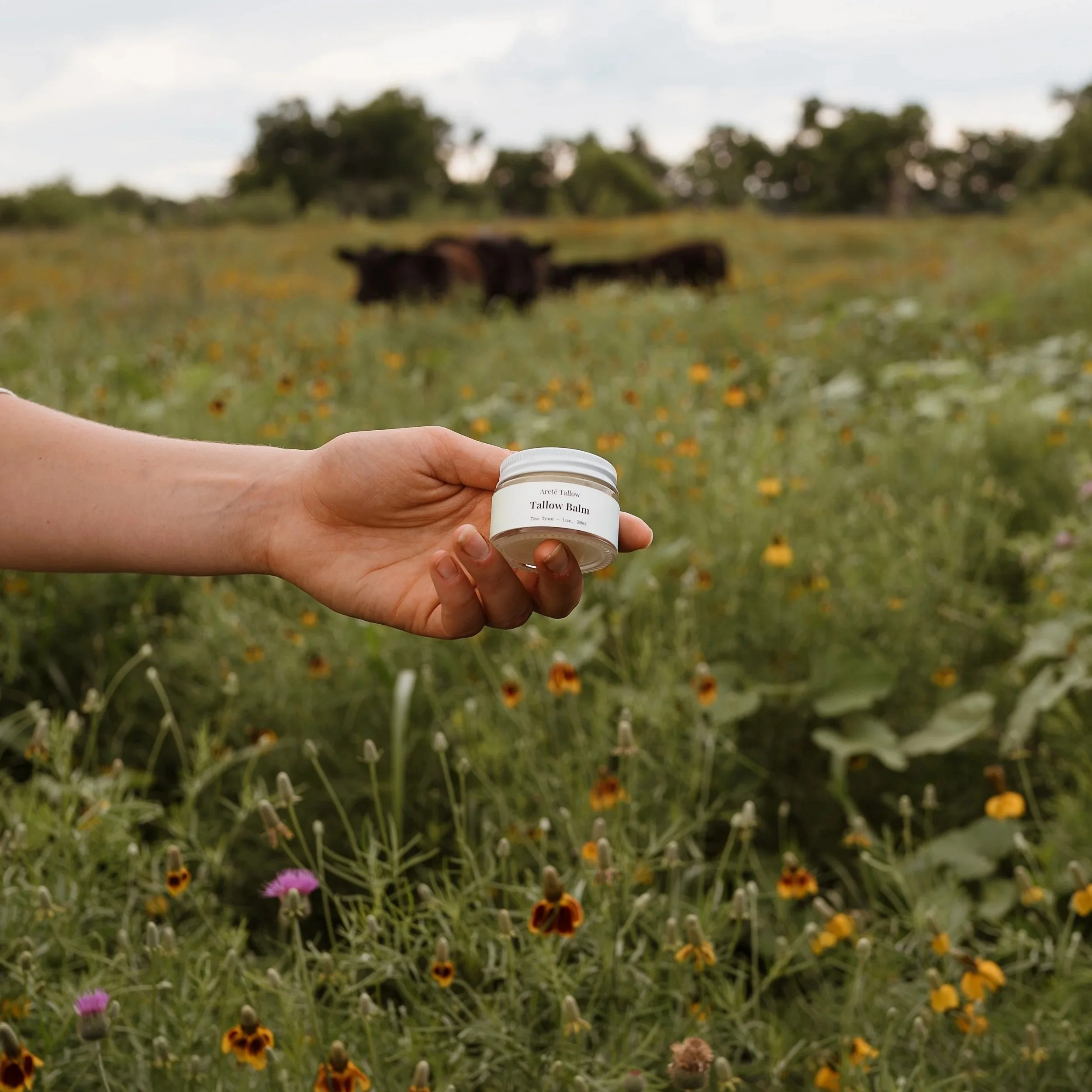 Tea+Tree+Balm.jpg