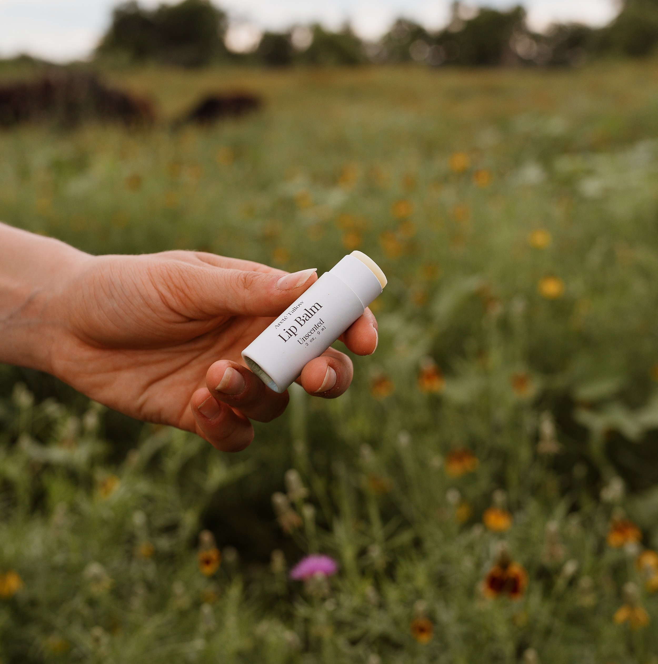 Unscented lip balm. No cap.jpg