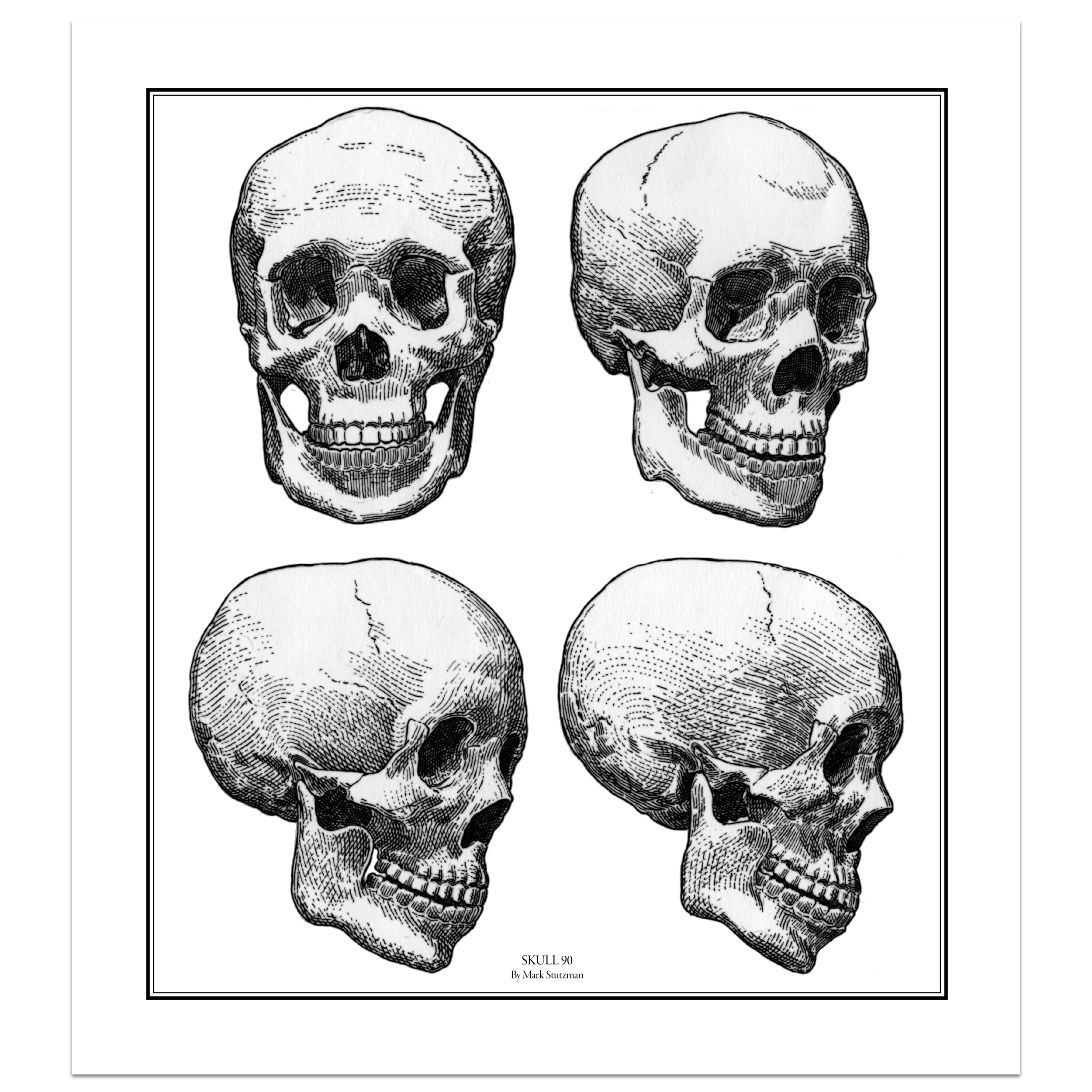 Skull90-unframed.png