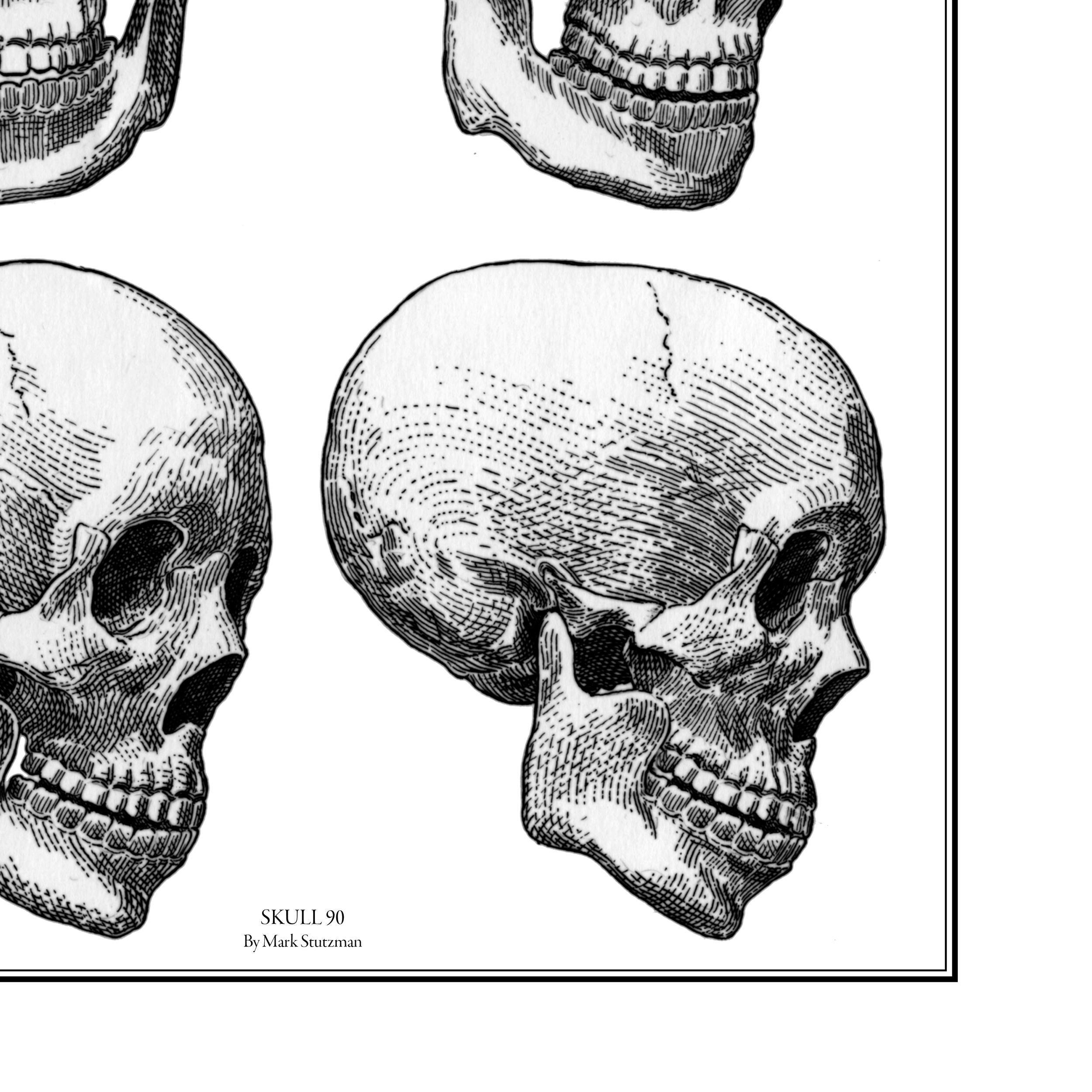 Skull90-unframed2.png