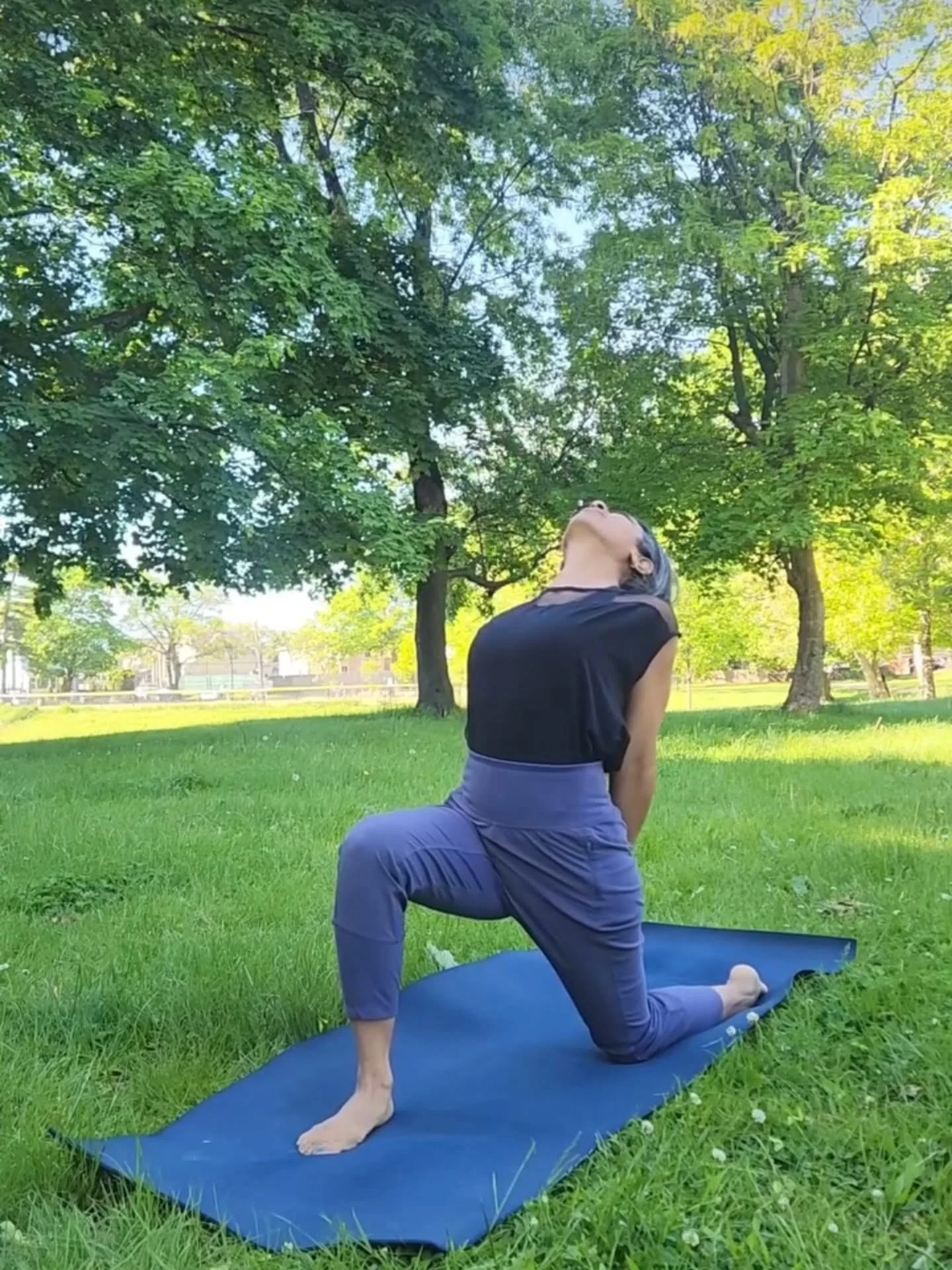 Low lunge with a back bend

#baysidequeens #baysideny #crocheronparkbayside #theflourishflow #whitestoneny