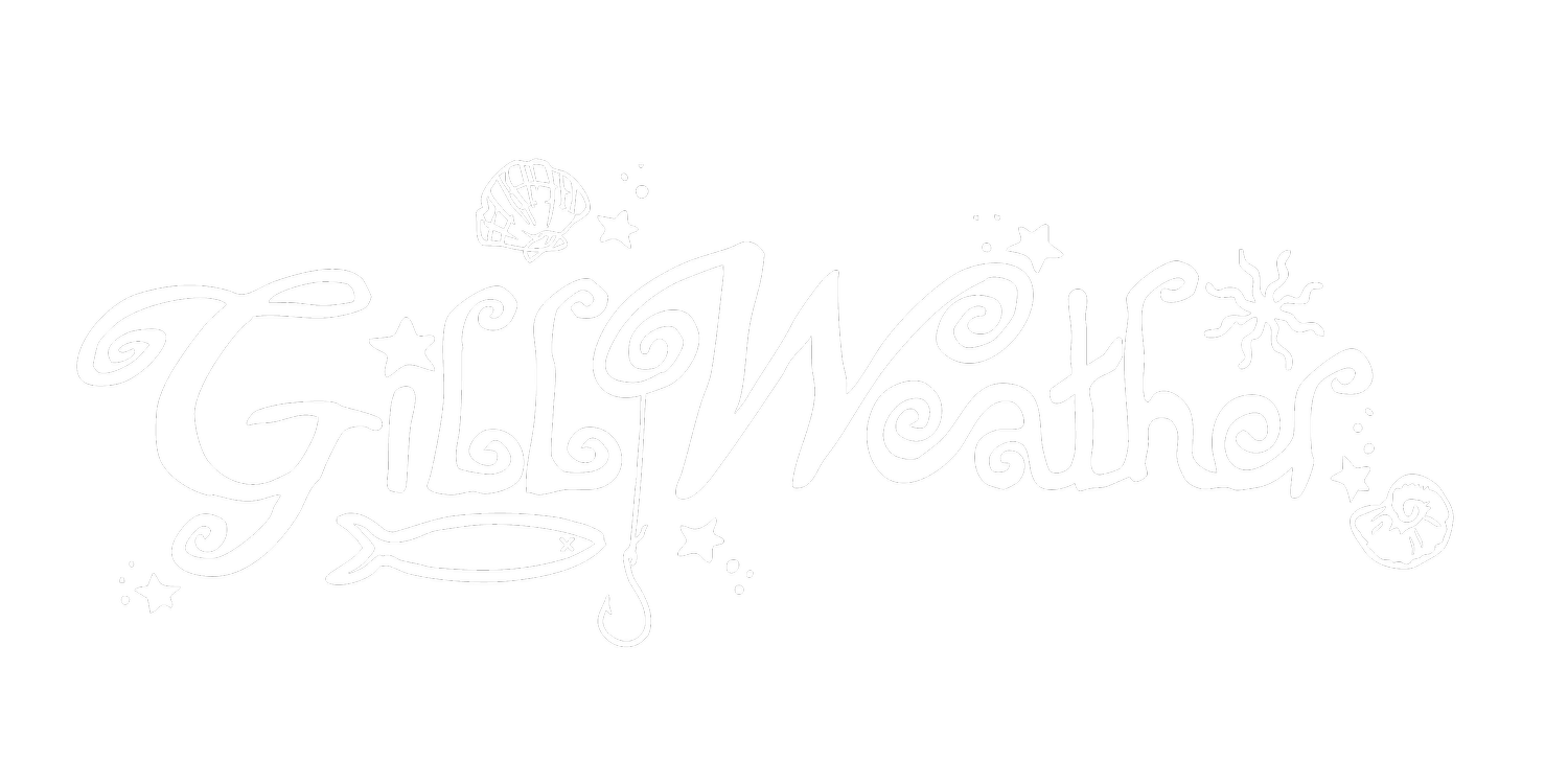 ˚⋆𓇼˚Gill Weather 𖦹 𓇼｡°