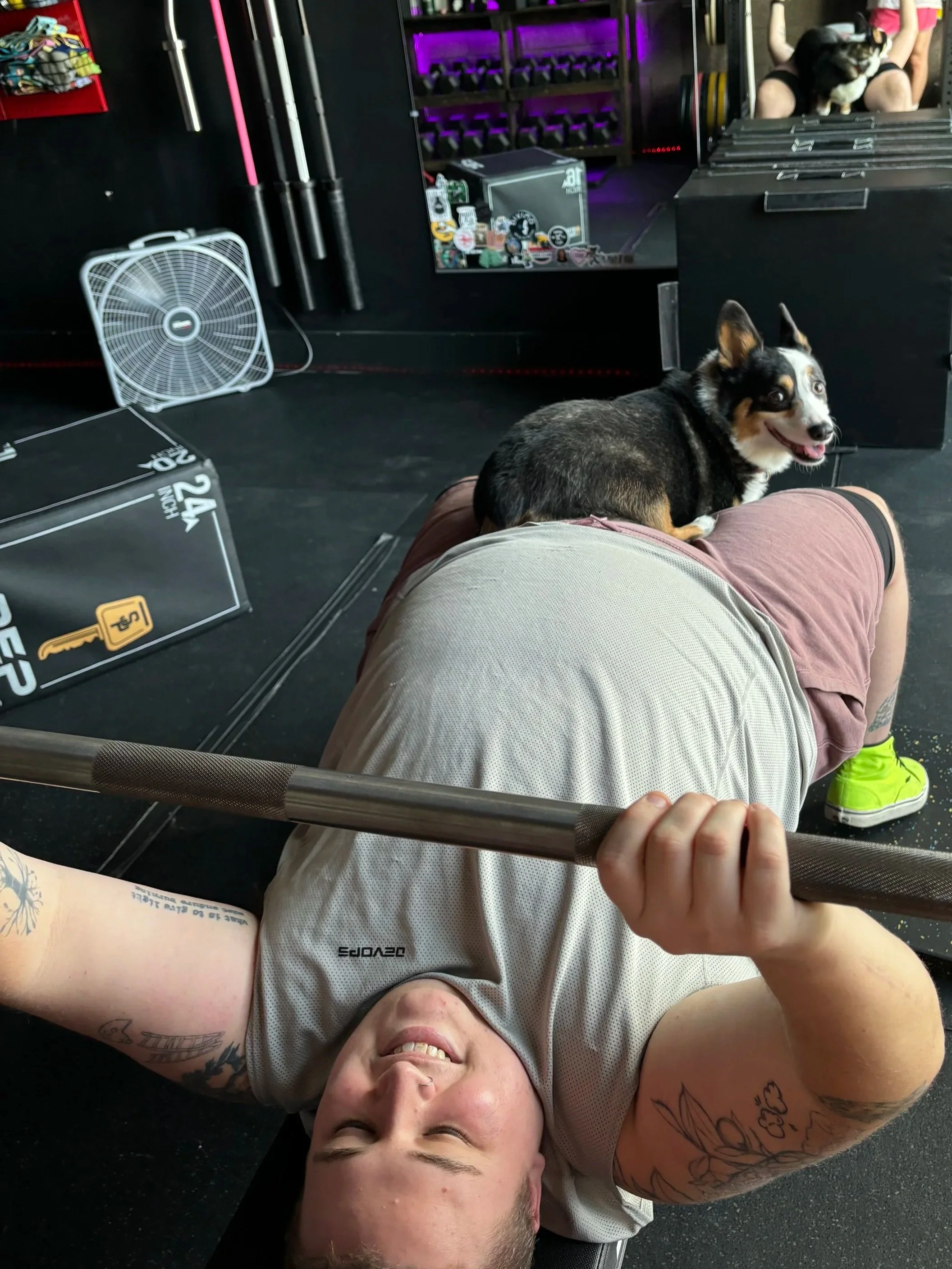 A person lying on a bench pressing a barbell, smiling with tattoos on their arms, in a gym. A small dog is sitting on the person's stomach, looking at the camera and smiling. In the background, another person with a dog on their lap is seated, and gym equipment is visible.