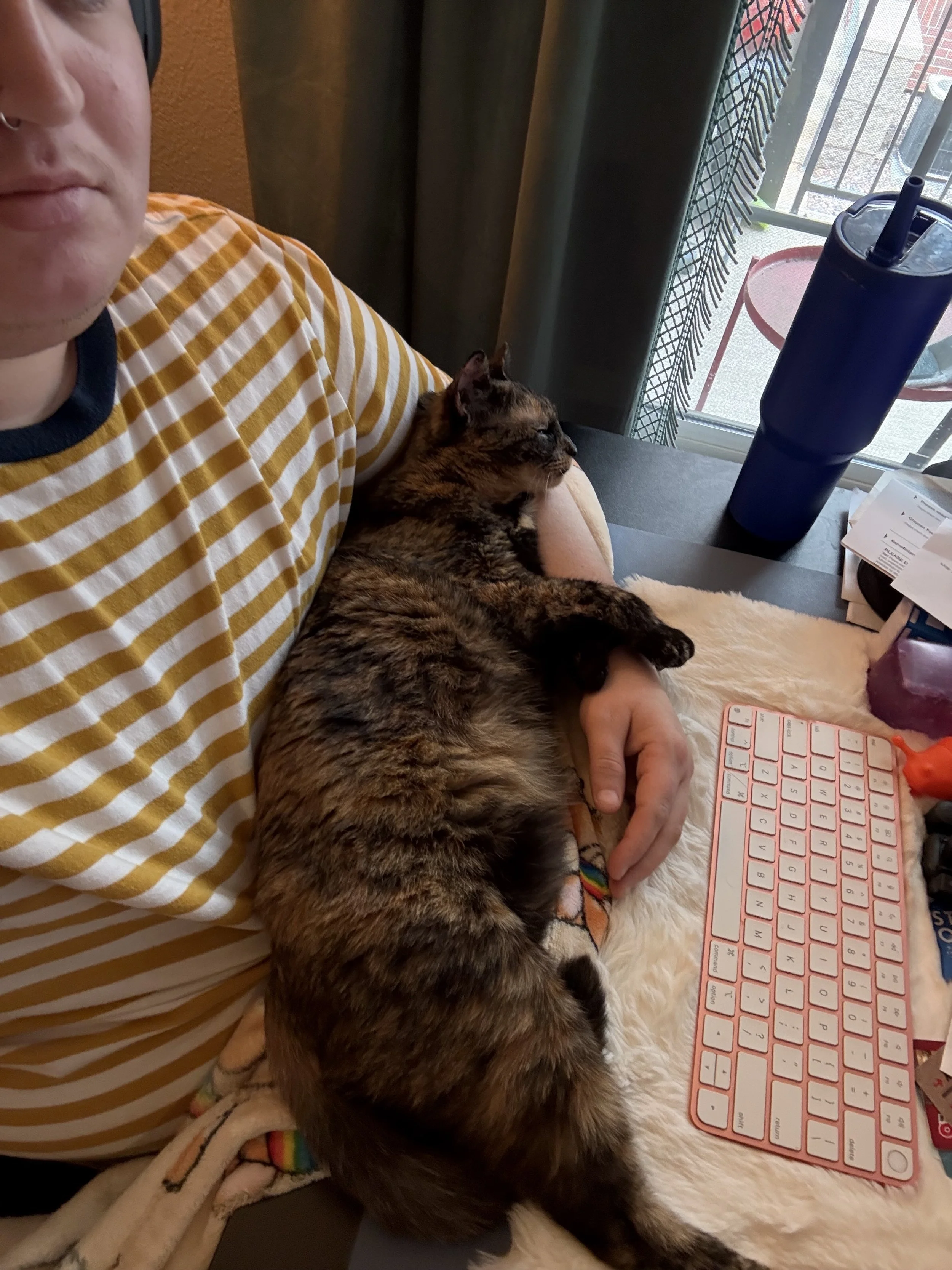 Maveryck selfie with their cat asleep in their arm at their desk