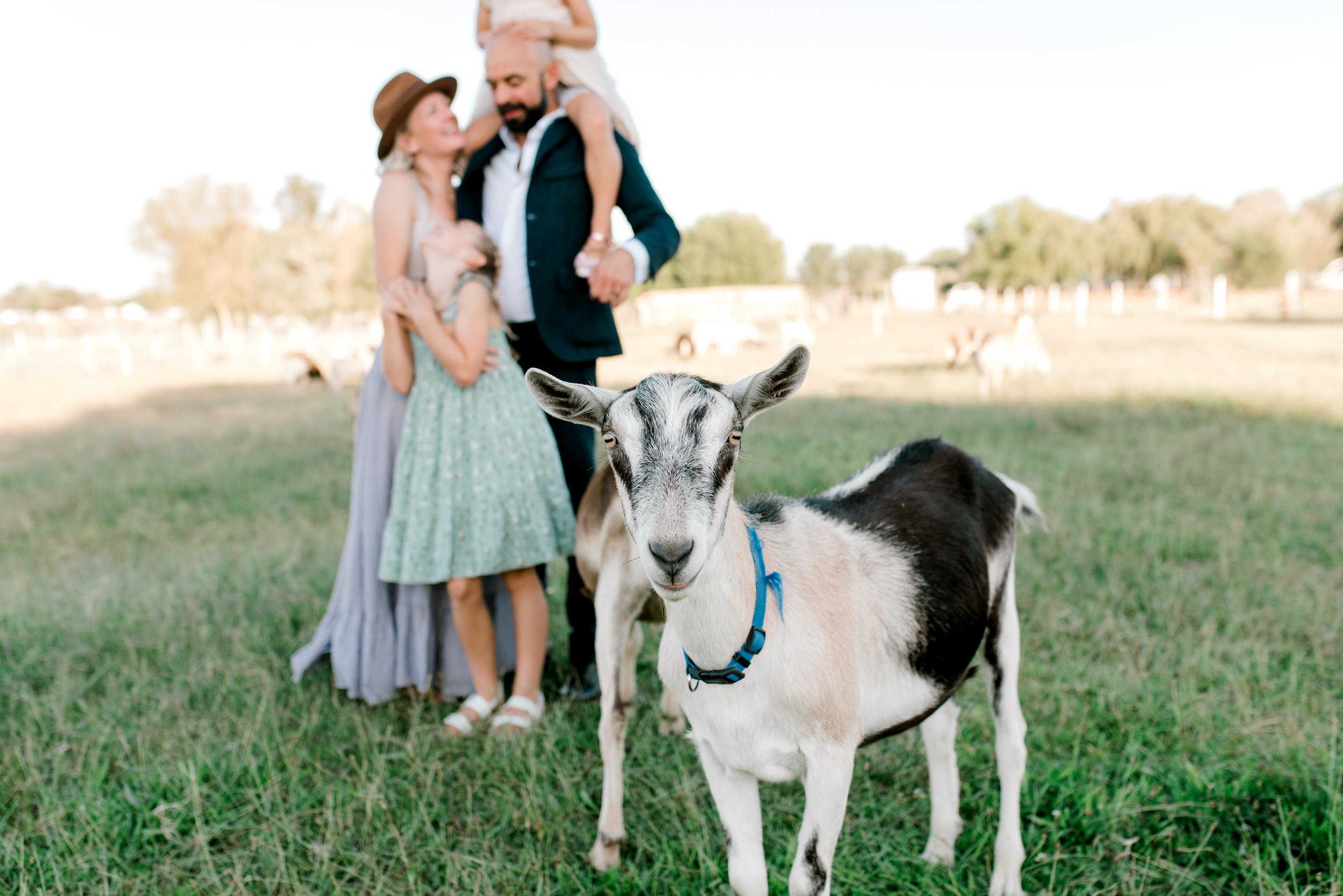 Olsonfamily2025-57.jpg