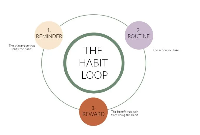 a visual representation of the Habit Loop from the Power of Habit by Charles Duhigg