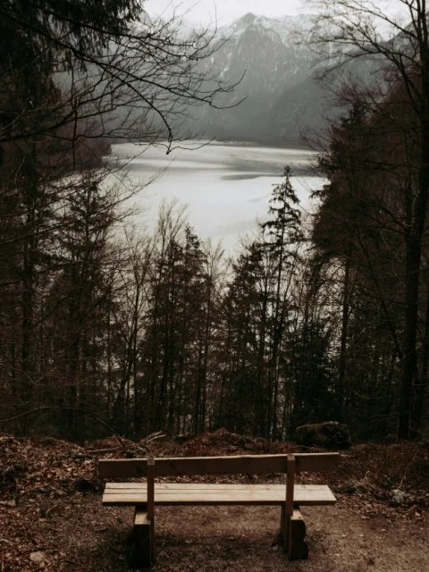 bench place peacefully in nature, perfect for embracing the art of doing nothing for relaxation and mental clarity.