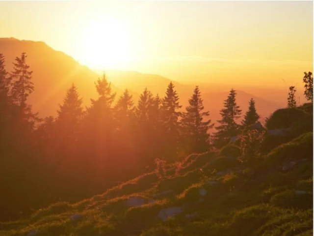 The one thing method success sunrise focus transformation.