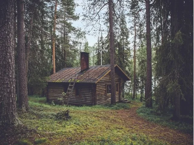 Fight Flight Freeze Fawn Flop stress response metaphor rustic forest cabin