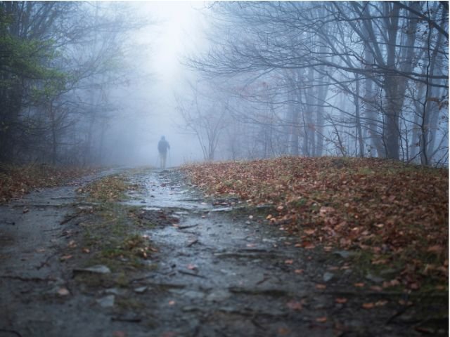 The one thing method avoiding distractions foggy path clarity.