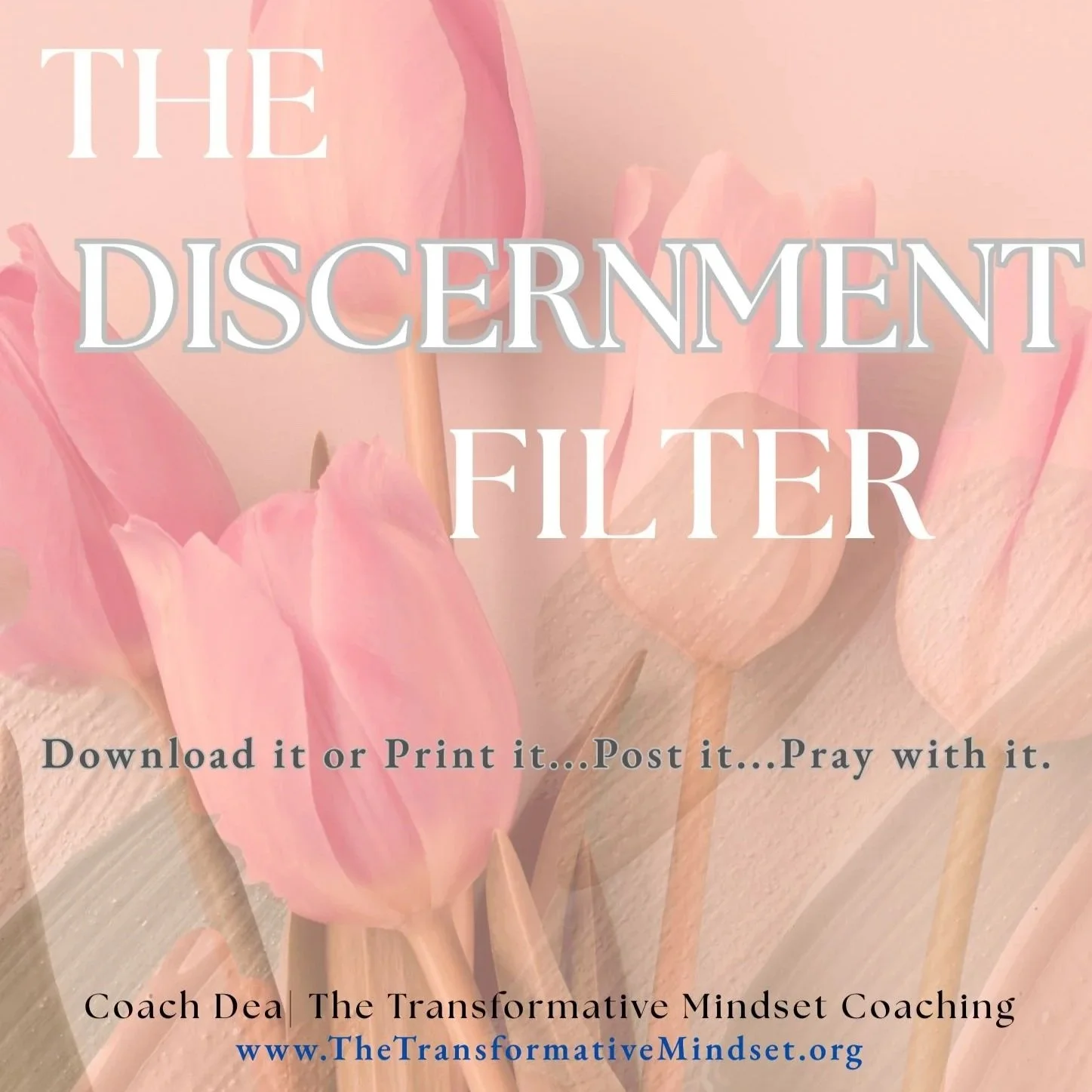 The Discernment Filter