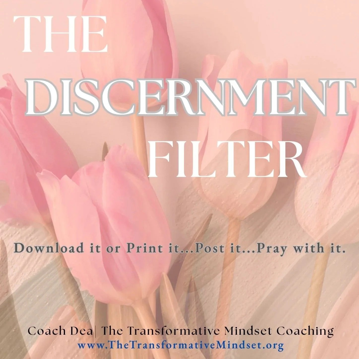 Discernment%2BFilter.jpg