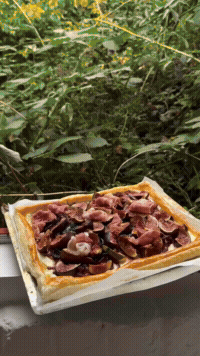 A white pizza with a thin crust topped with pieces of cooked beef, set against a green outdoor background.