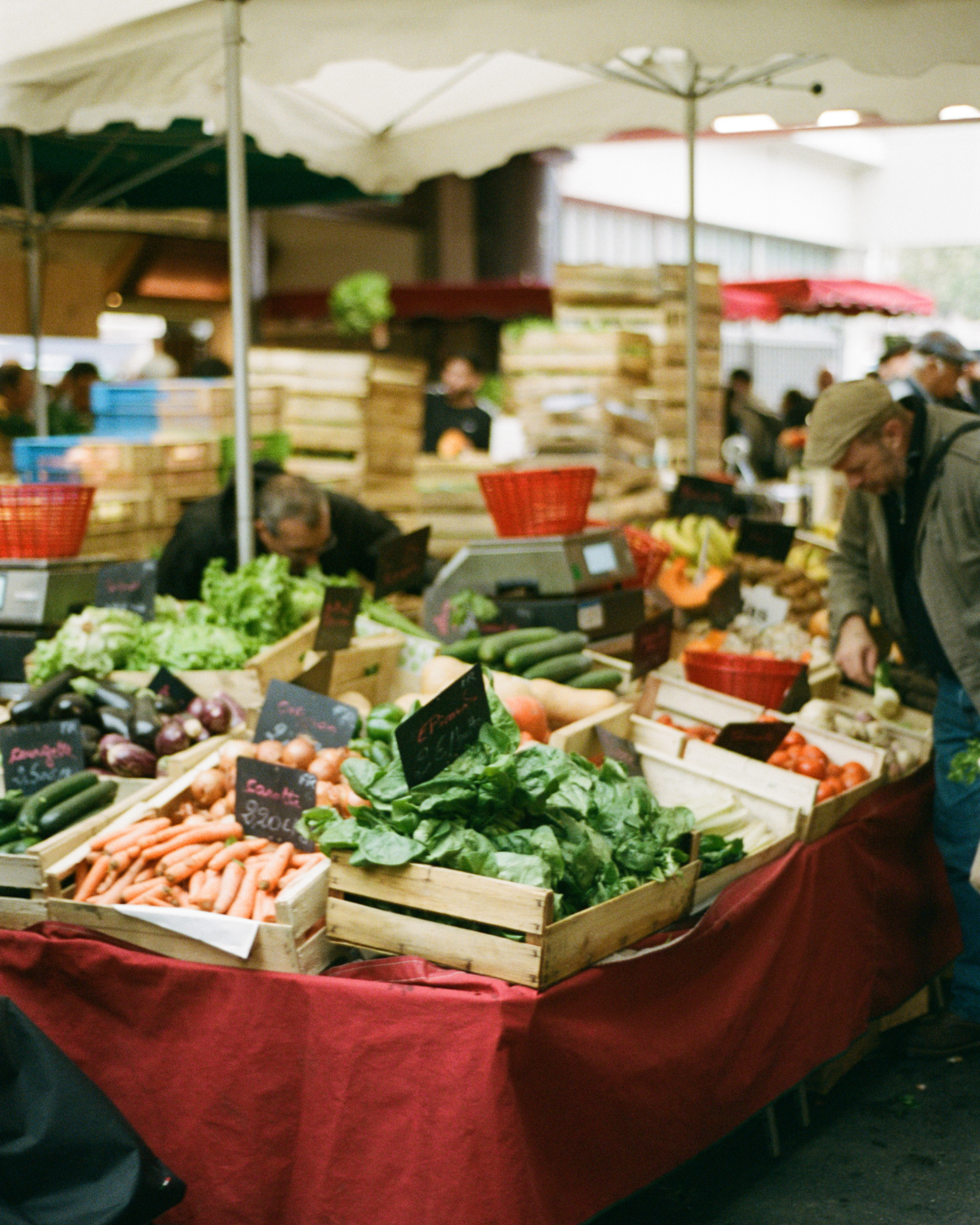 At a farmers market stall with various fresh vegetables, including carrots, leafy greens, eggplants, zucchini, and onions, displayed in wooden crates under a canopy.