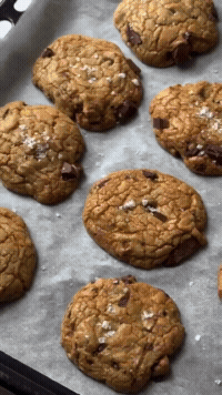 Freshly baked chocolate chip cookies on a baking sheet.